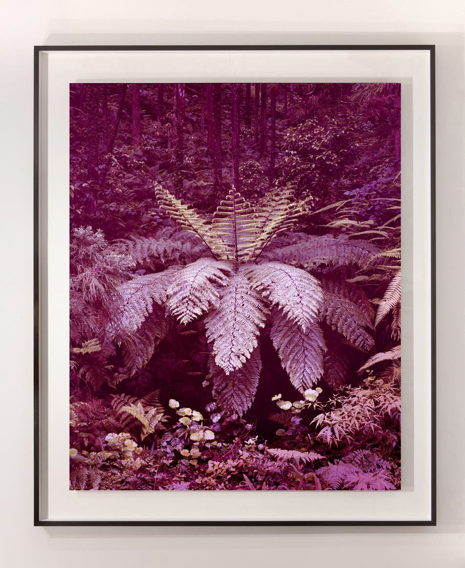 Yojiro Imasaka, Illuminating Earth 06, 2019