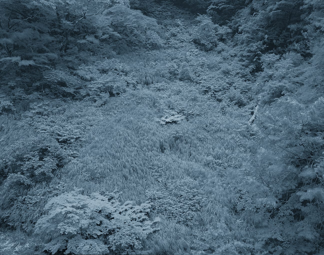 Yojiro Imasaka, Illuminating Earth 132 - C10 April 30, 2020, 2020