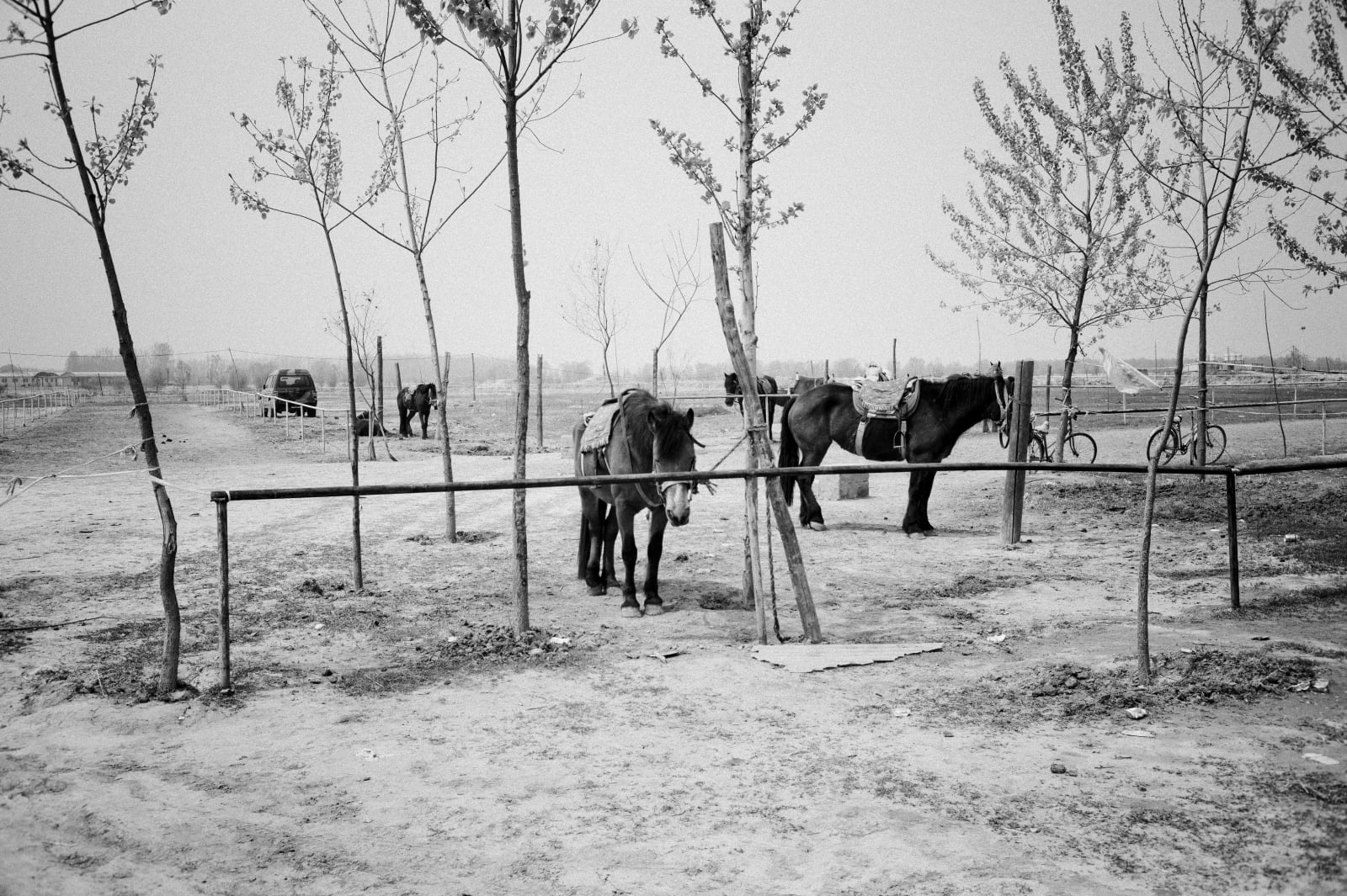 Hai Zhang, Near Zhengzhou, Henan Province 3, 2015