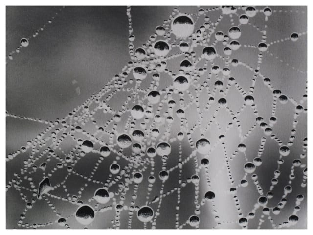 Cleverson Oliveira, Sem Titulo (Untitled) #04, 2013