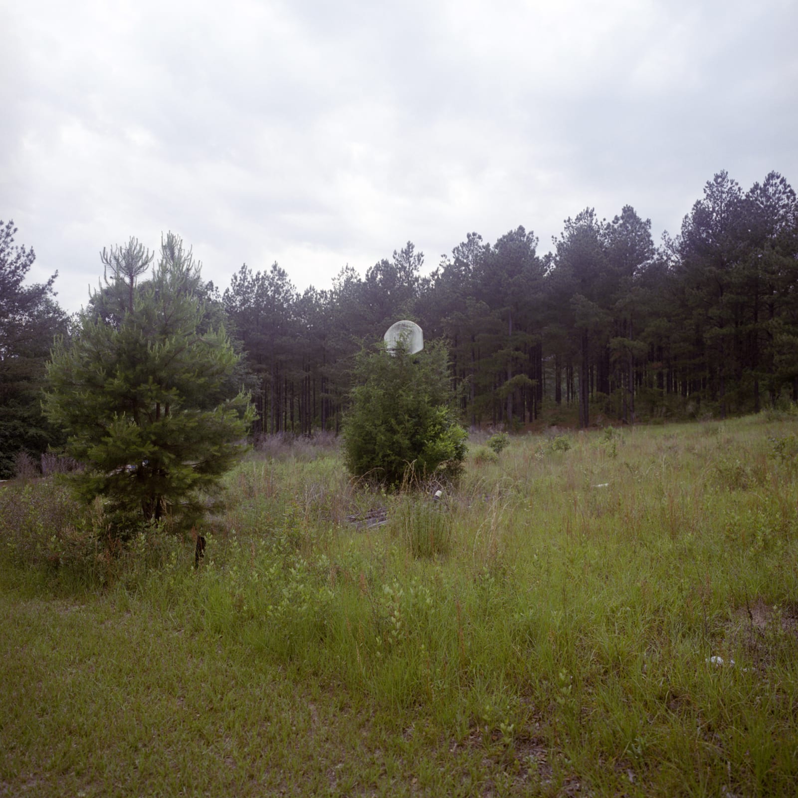 Hai Zhang, Clayton Alabama 2, 2012