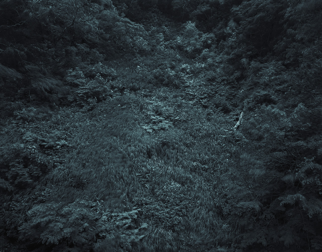 Yojiro Imasaka, Illuminating Earth 139 - C27 May 23, 2020, 2020