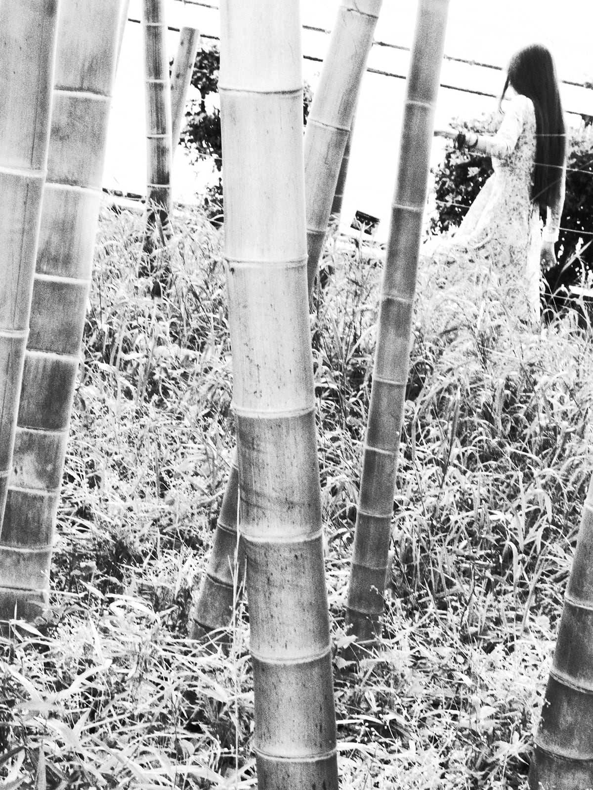 Emi Anrakuji, Untitled 10595, 2013