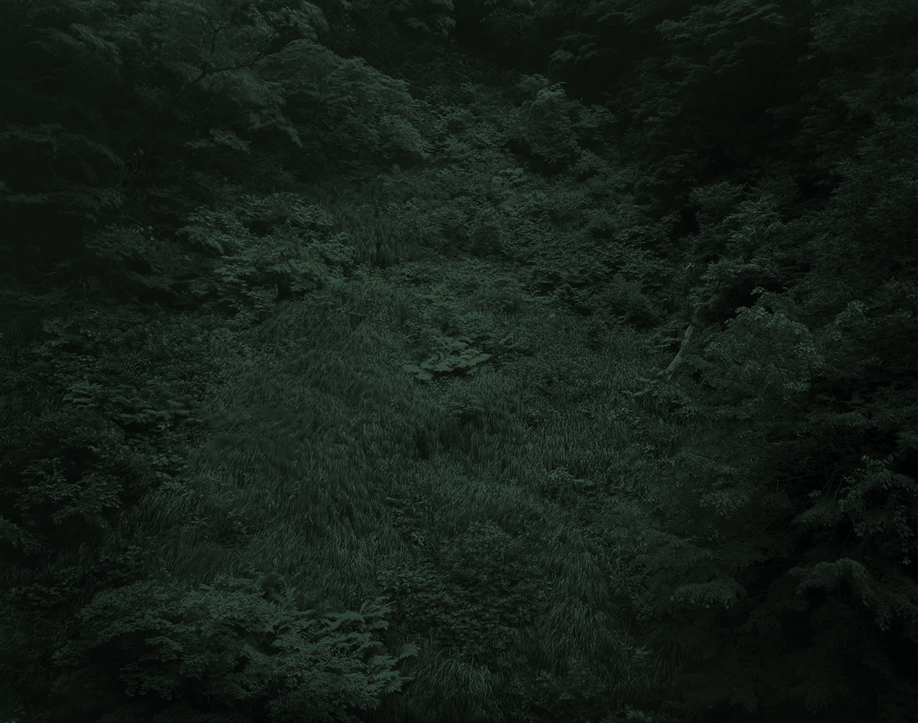 Yojiro Imasaka, Illuminating Earth 136 - C22 May 22, 2020, 2020