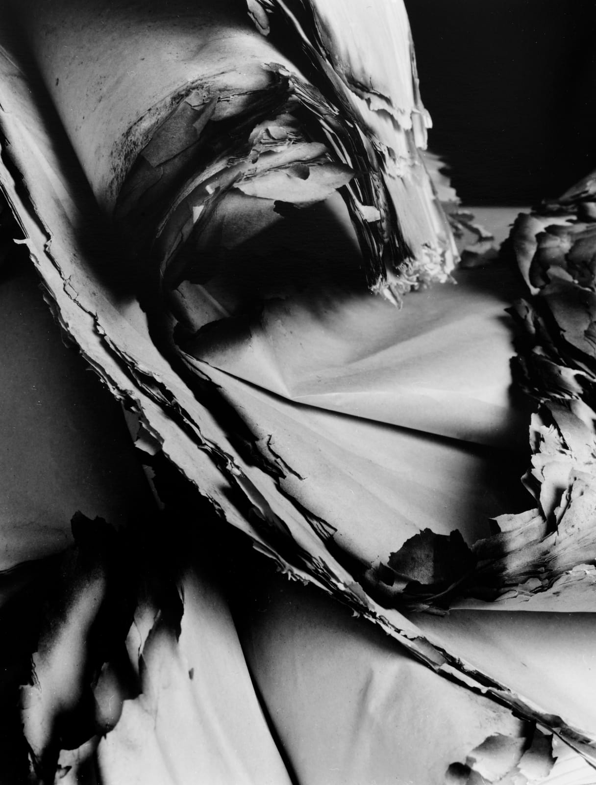 Hitoshi Fugo, KAMI 8, 2001