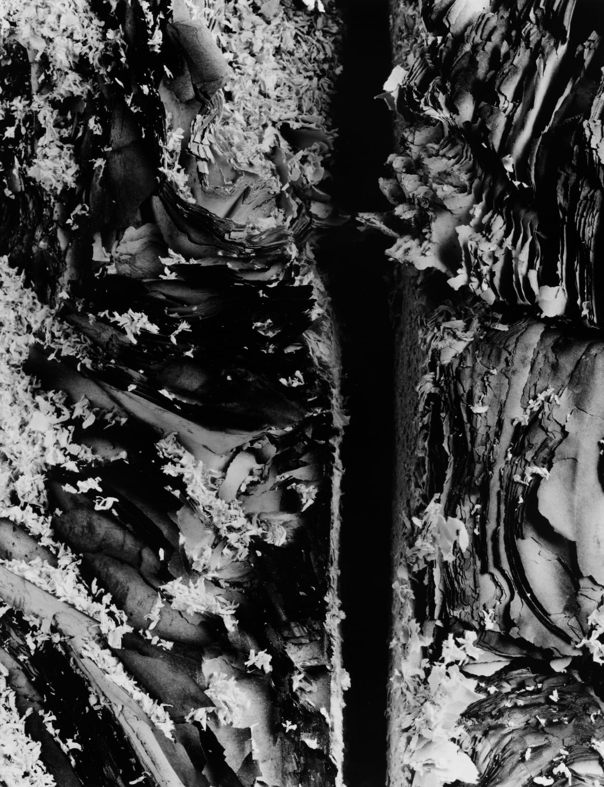 Hitoshi Fugo, KAMI 30, 2001