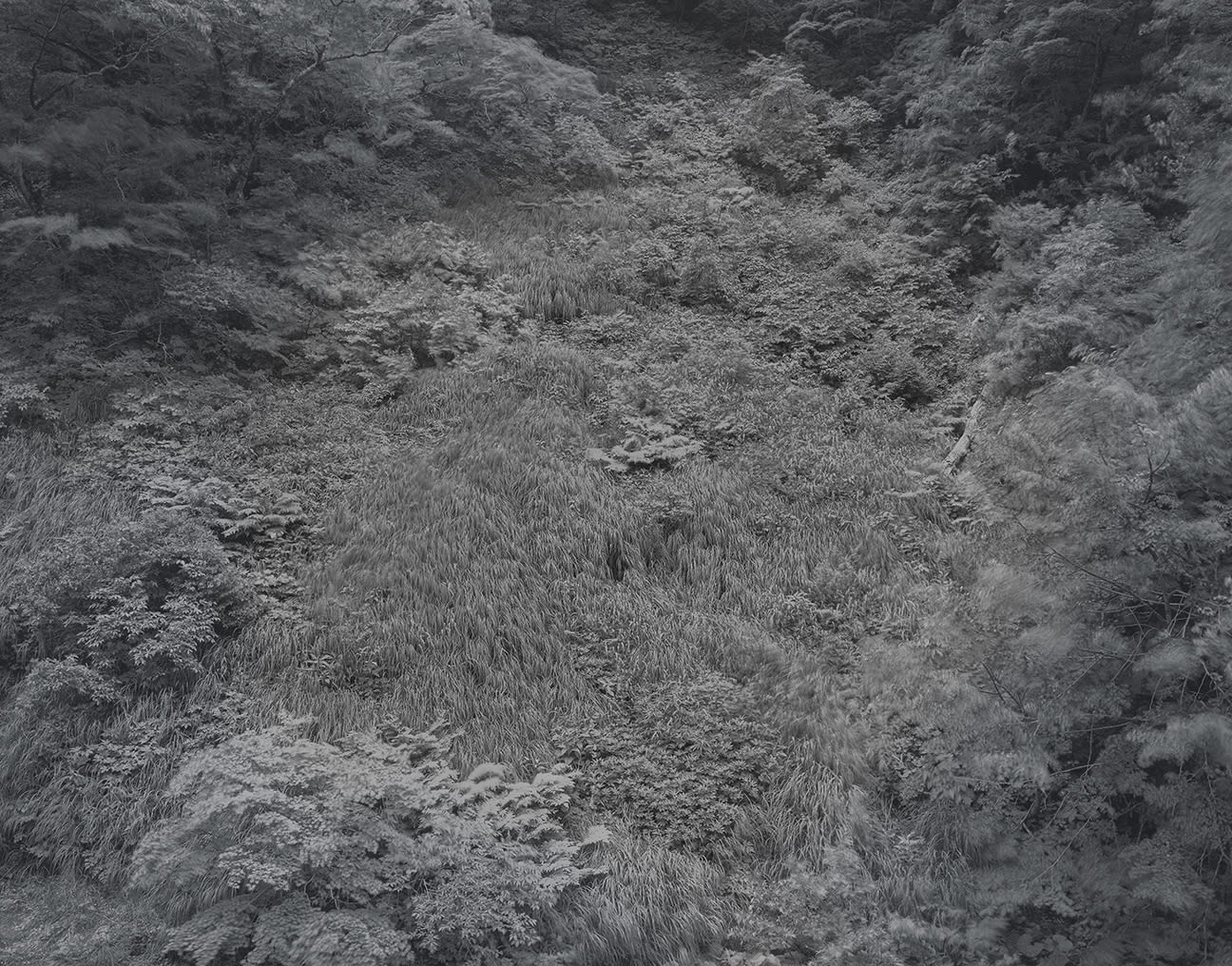 Yojiro Imasaka, Illuminating Earth 132 C9 April 30, 2020, 2020