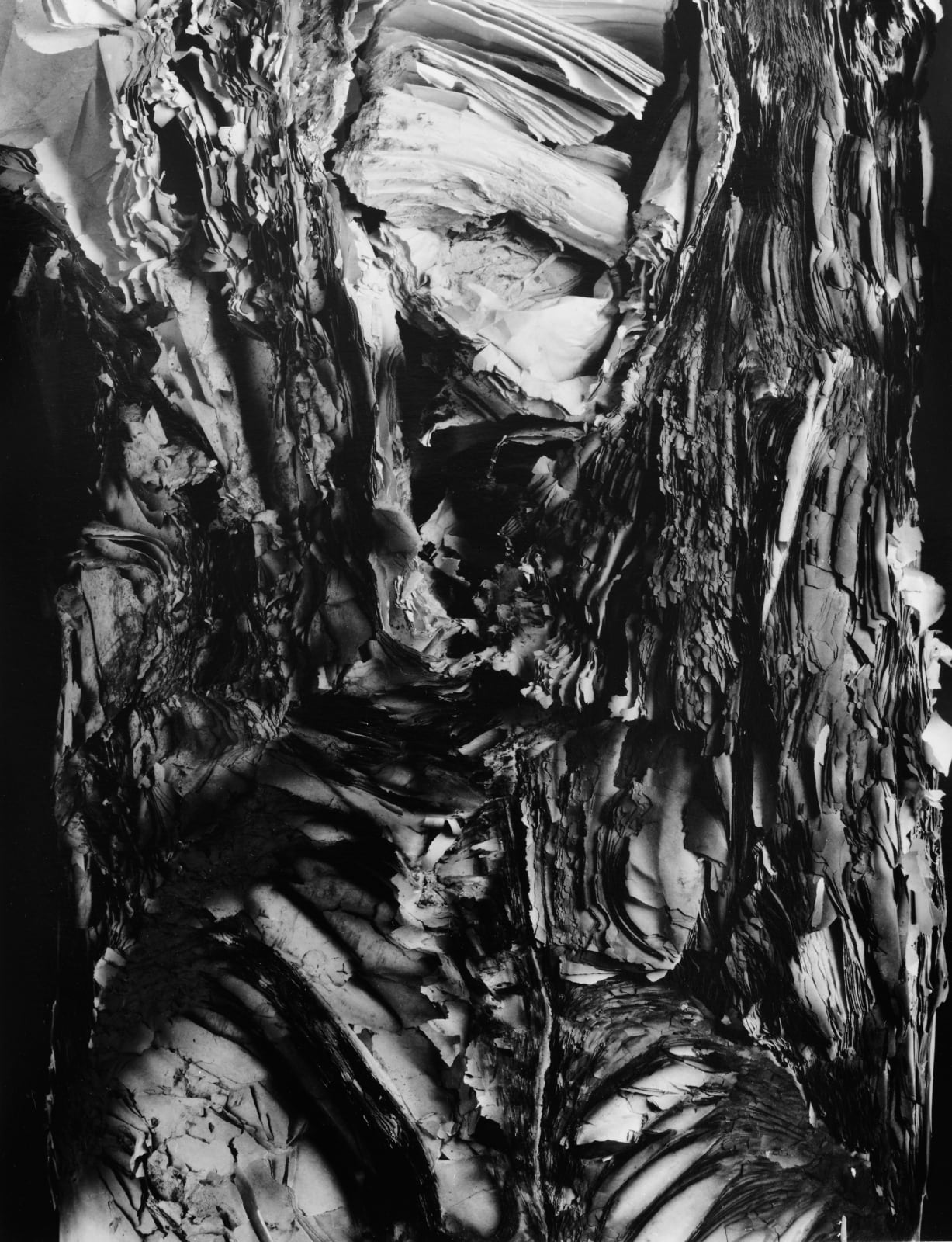 Hitoshi Fugo, KAMI 11, 2001