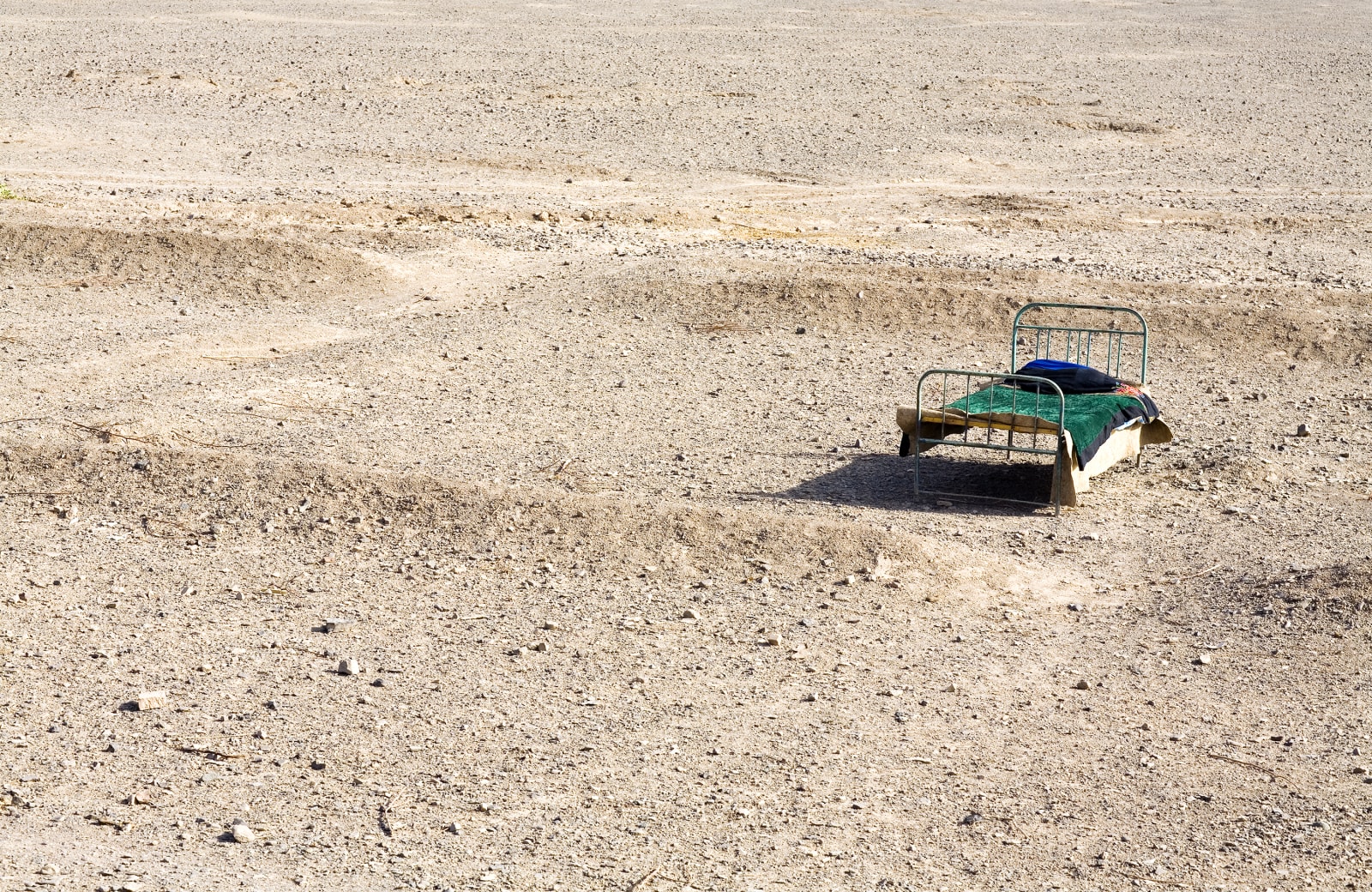 Lisa Ross, Emerald Field, 2013