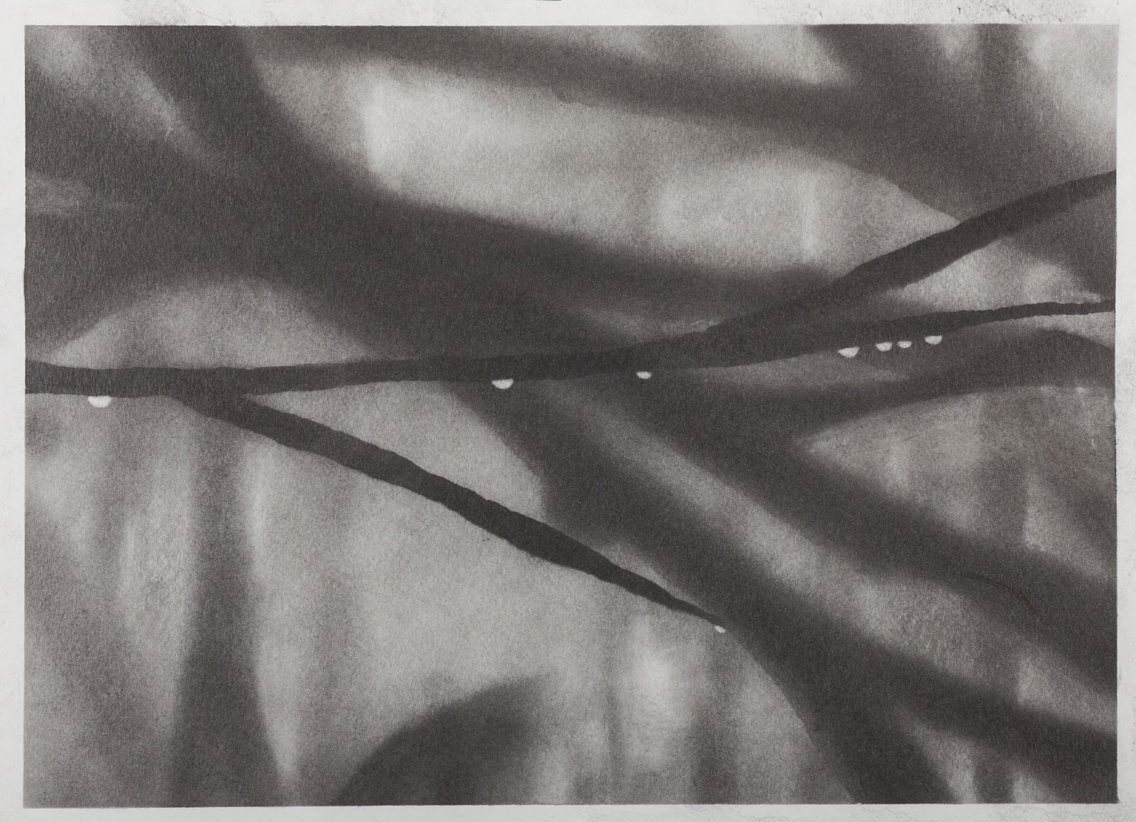 Cleverson Oliveira, Untitled 010, 2017