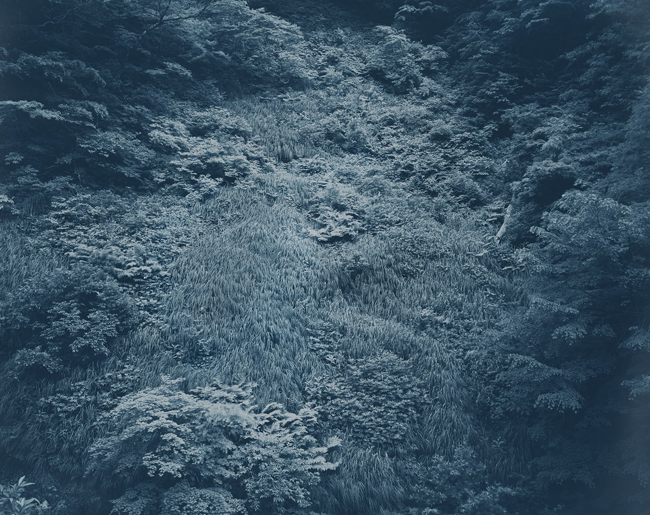 Yojiro Imasaka, Illuminating Earth 130 - C5 May 13, 2020, 2020