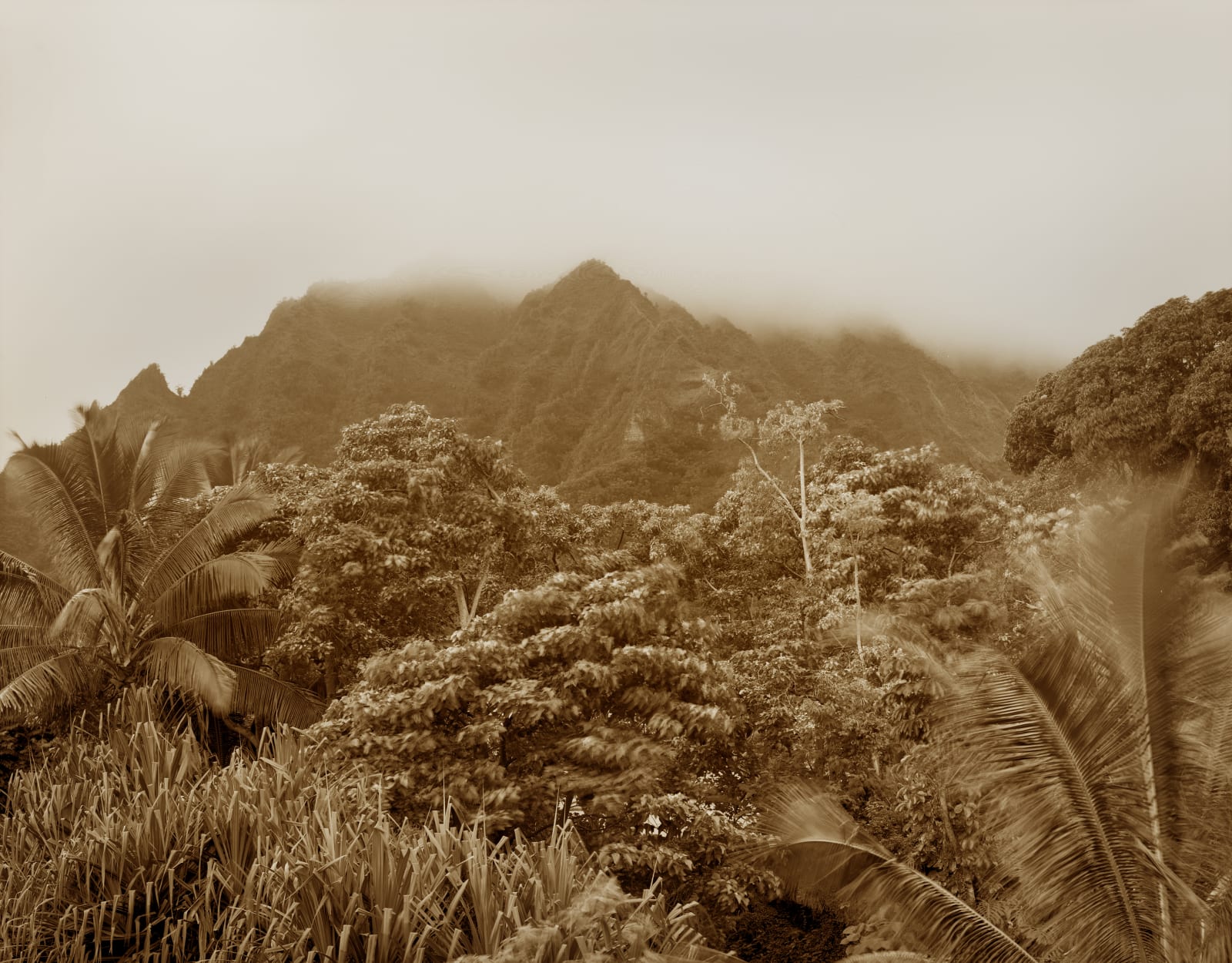 Yojiro Imasaka, Trade Winds 39, 2018