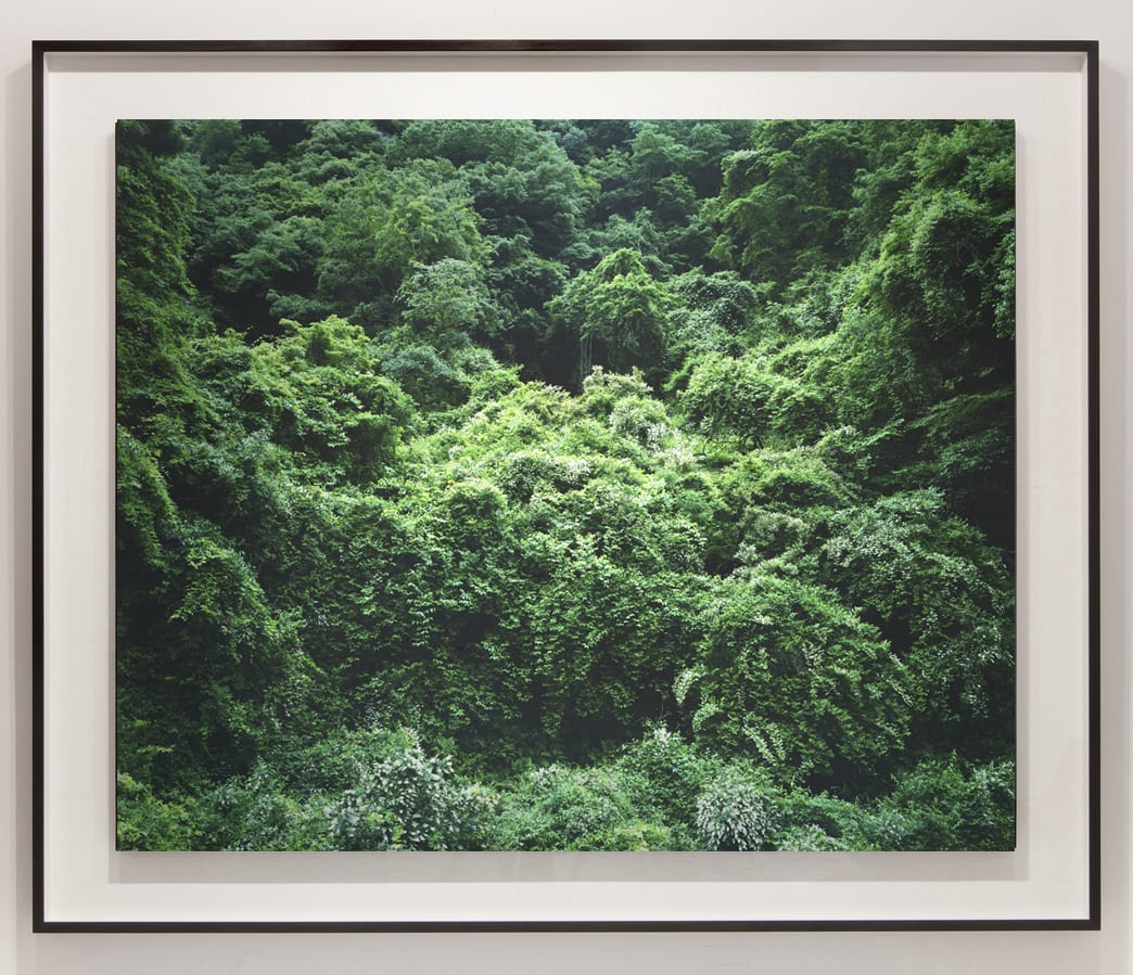 Yojiro Imasaka, Illuminating Earth 80, 2019