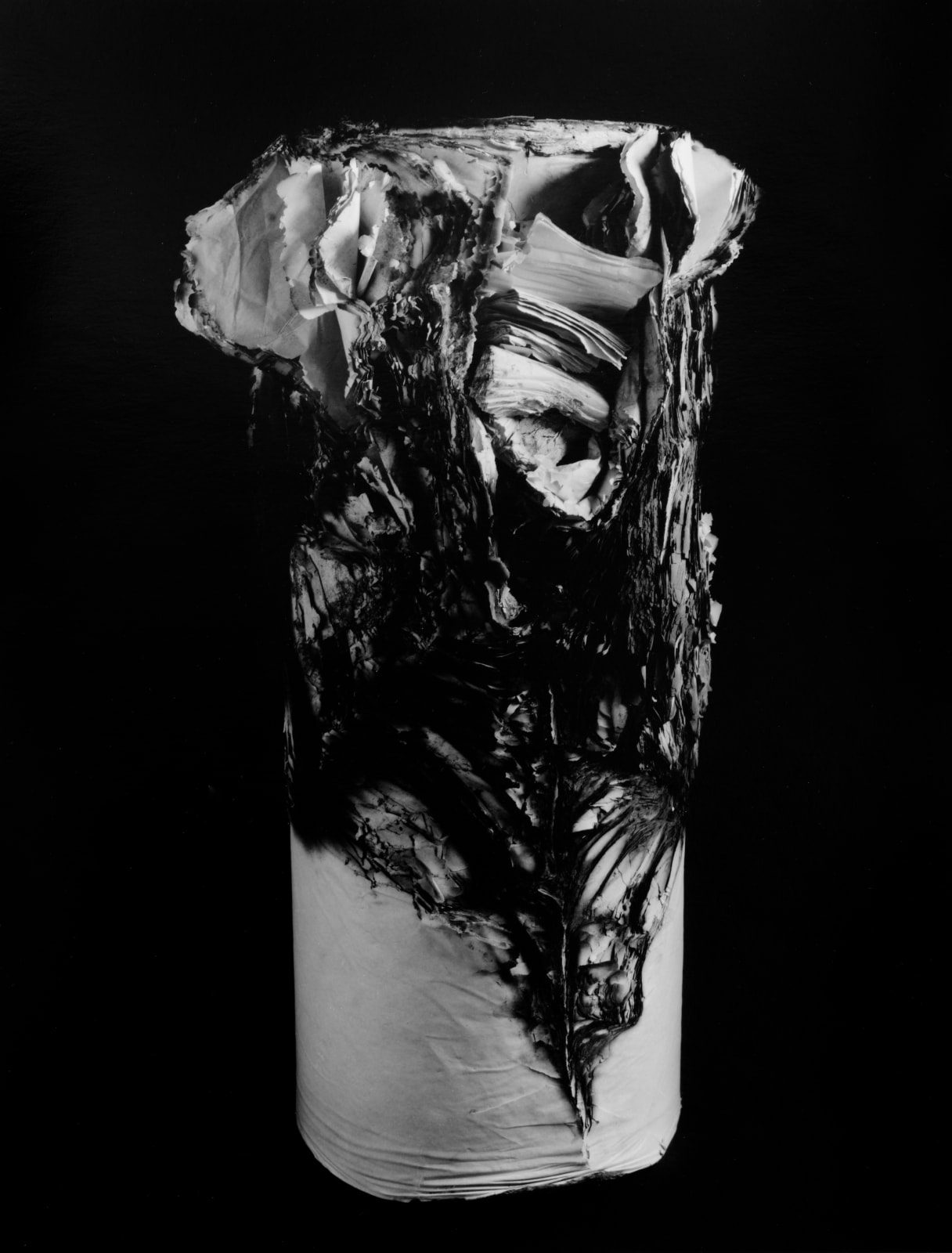 Hitoshi Fugo, KAMI 1, 2001