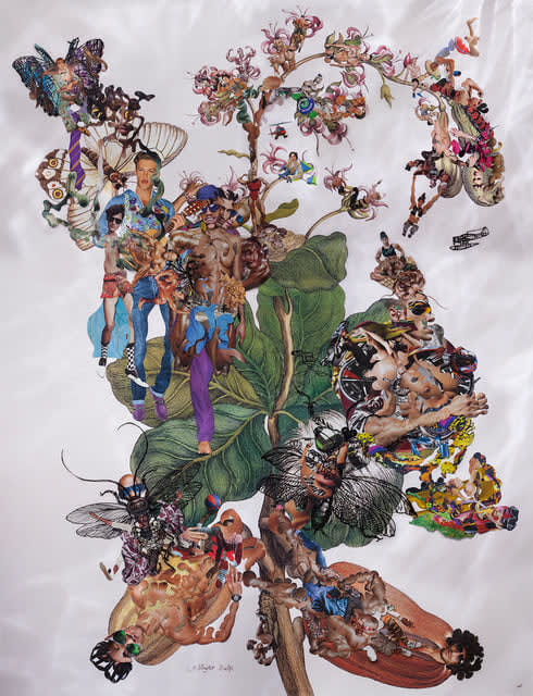 Dominique Paul, Insects of Surinam 24, 2017