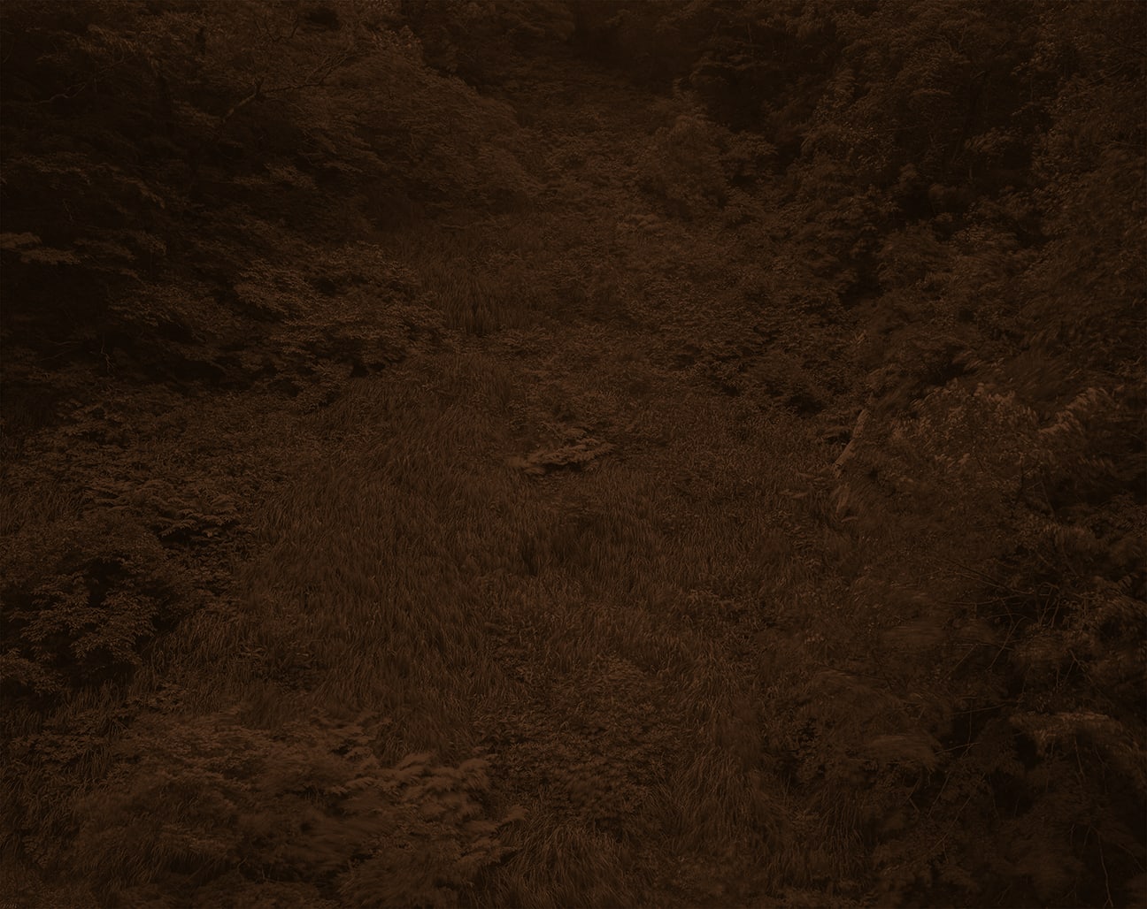 Yojiro Imasaka, Illuminating Earth 135 - C18 May 15, 2020, 2020