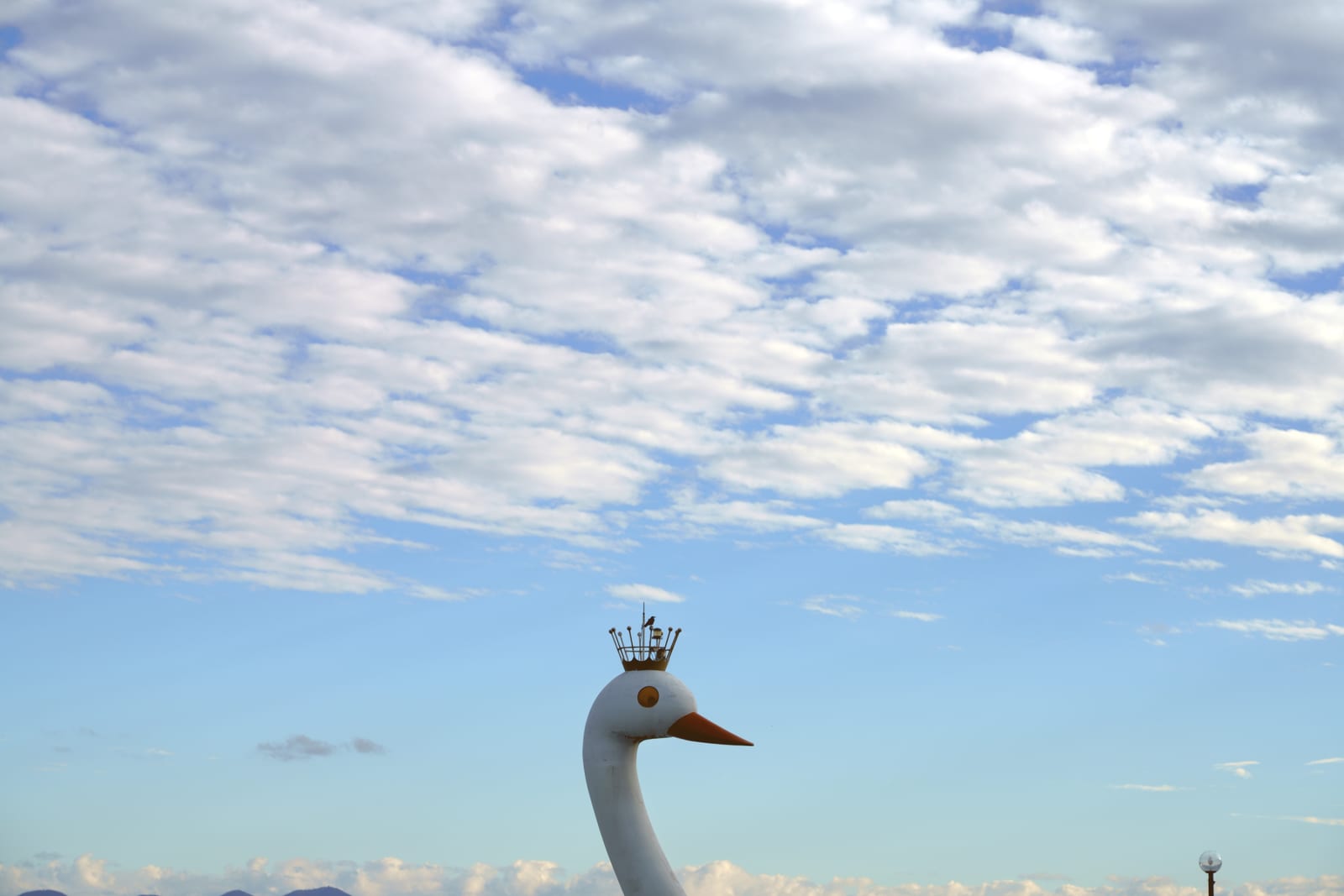 Takahiro Kaneyama, Swan Boat, 2020