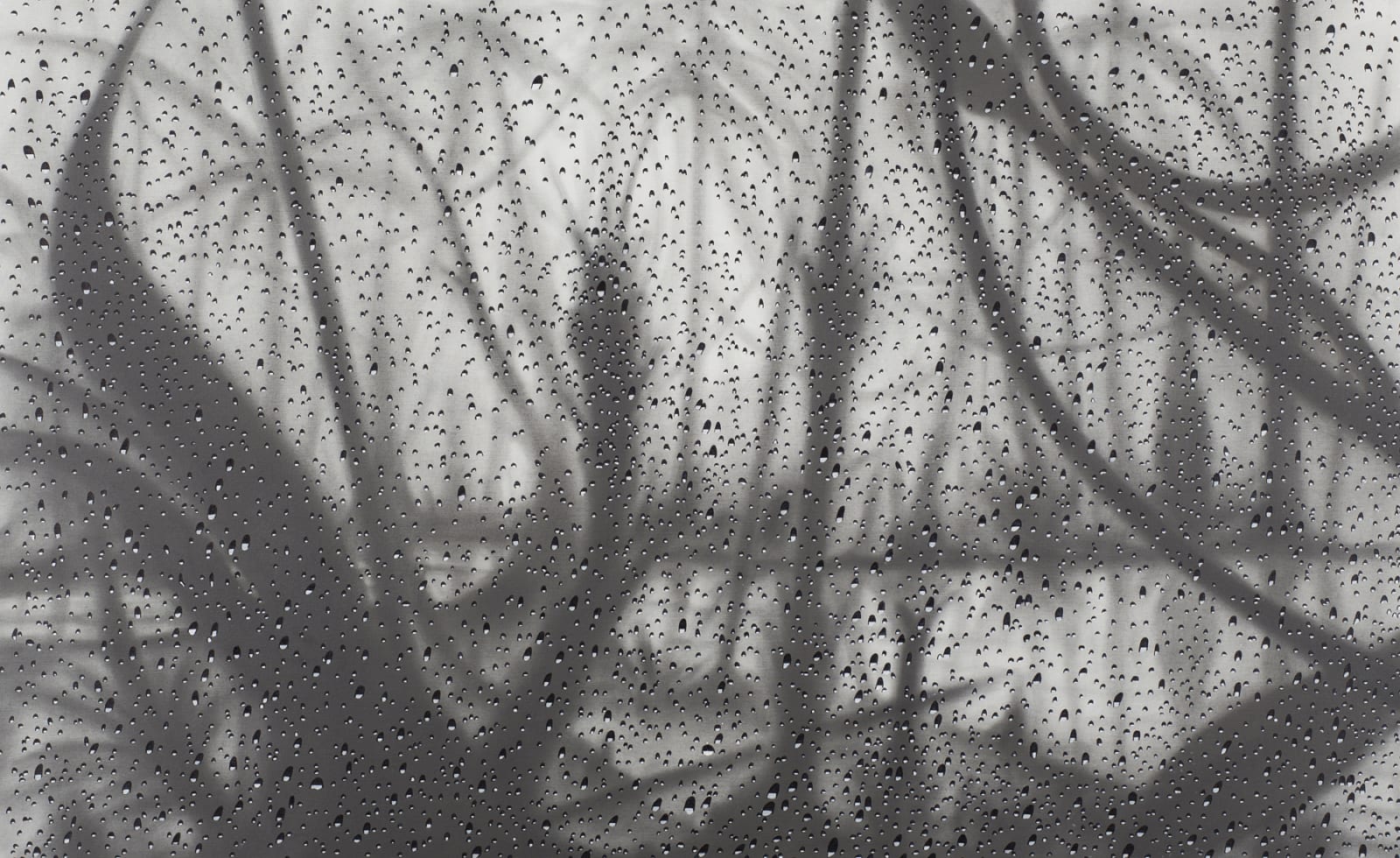 Cleverson Oliveira, Untitled 201, 2017