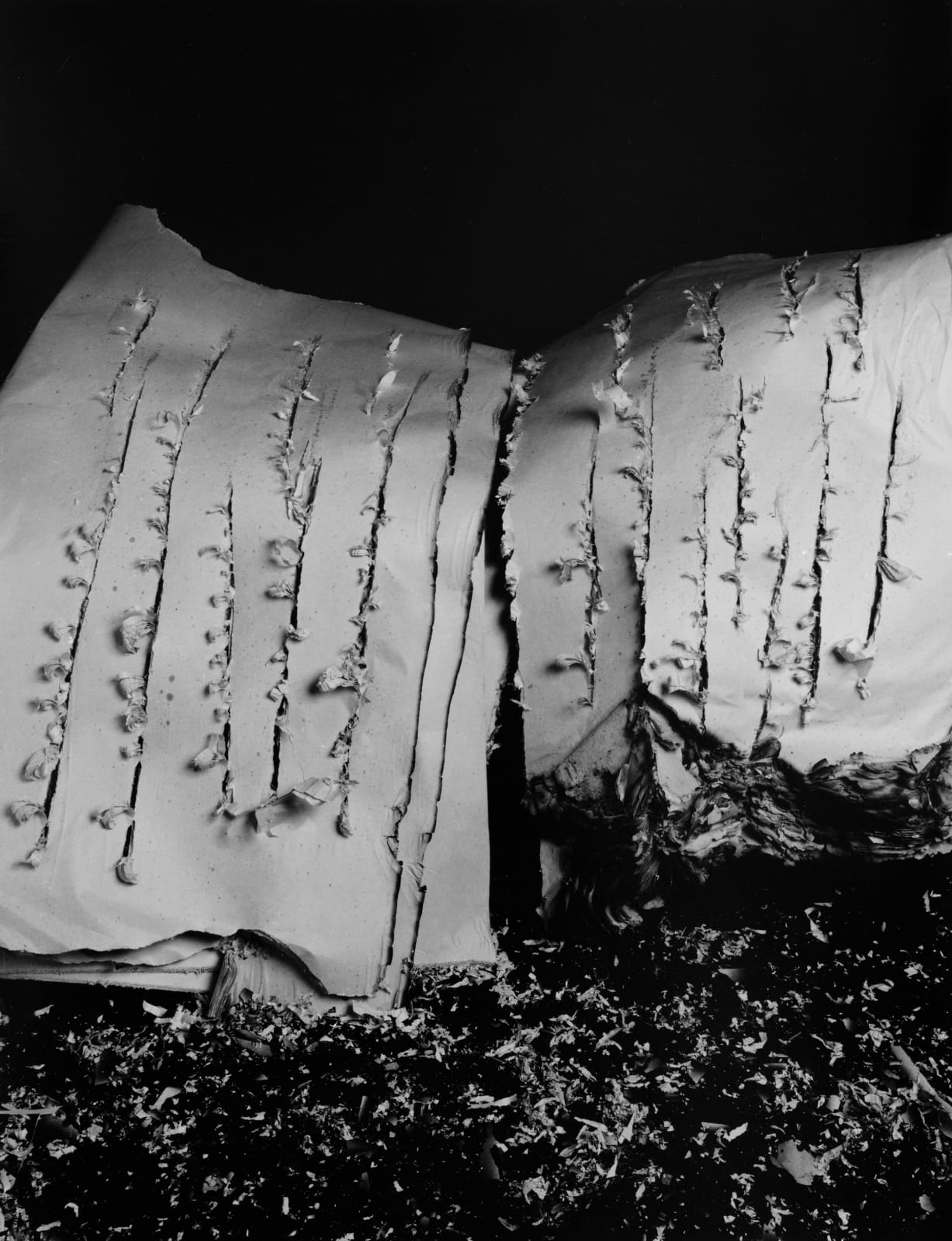 Hitoshi Fugo, KAMI 17, 2001