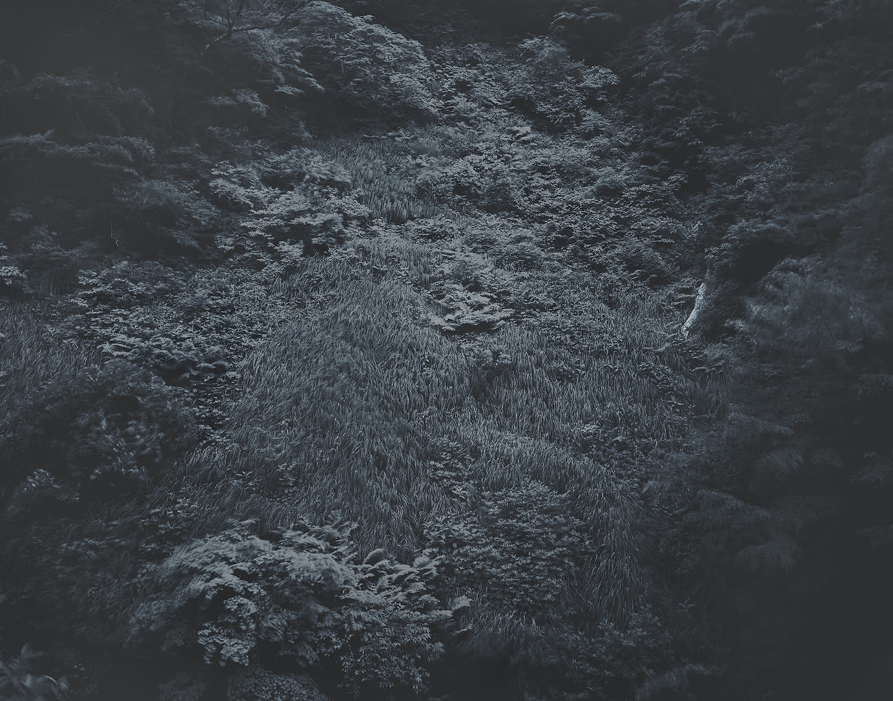 Yojiro Imasaka, Illuminating Earth 129 - C4 May 6, 2020, 2020