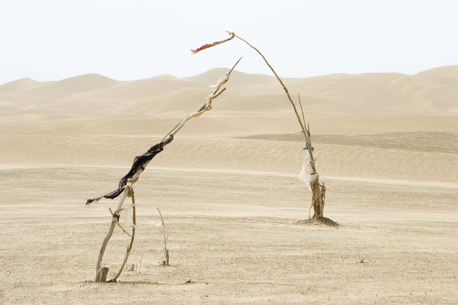 Lisa Ross, Unrevealed Site 2 (Dialogue Boundless), 2006