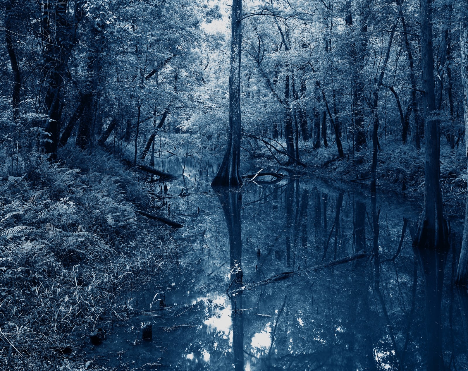 Yojiro Imasaka, Blue Bayou 14, 2016