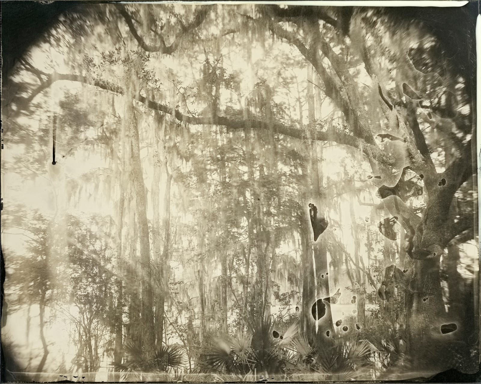 Yojiro Imasaka, Wet Land 13, 2021