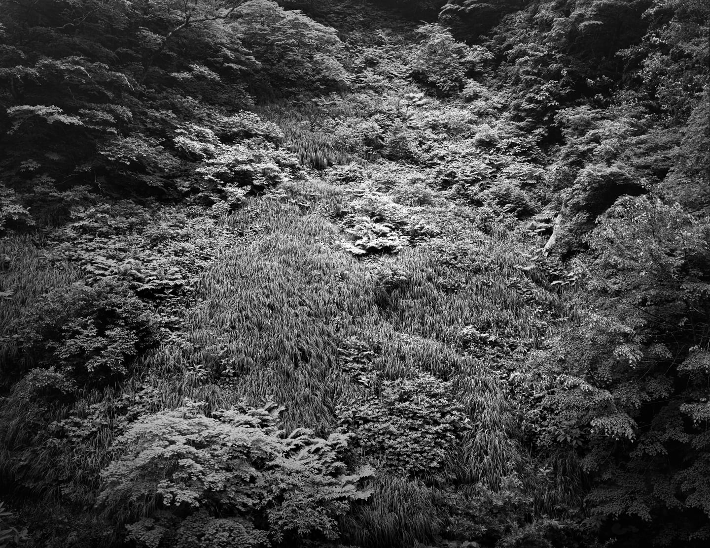 Yojiro Imasaka, Illuminating Earth 148, 2019