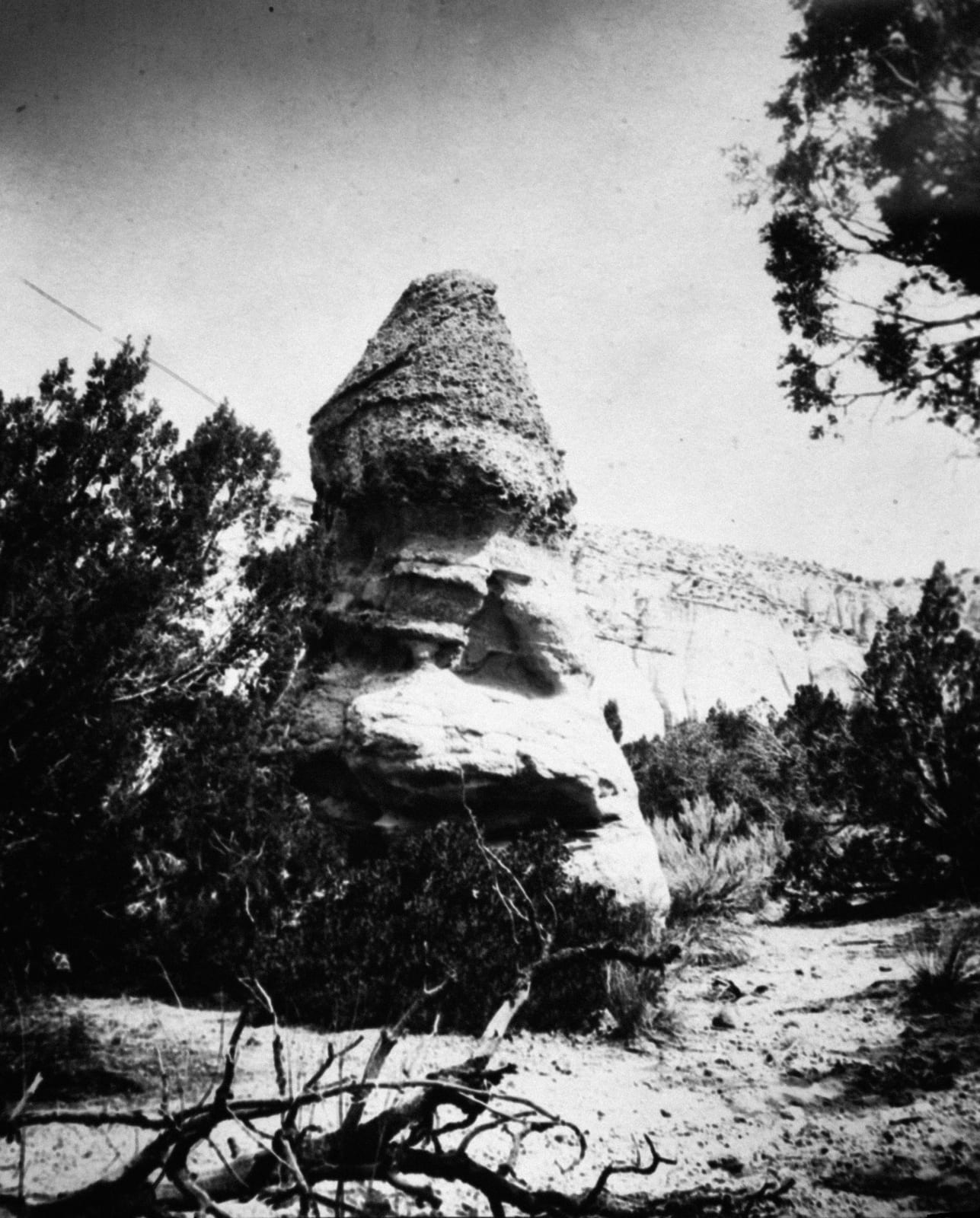 Koyoltzintli , Sentinel, 2018