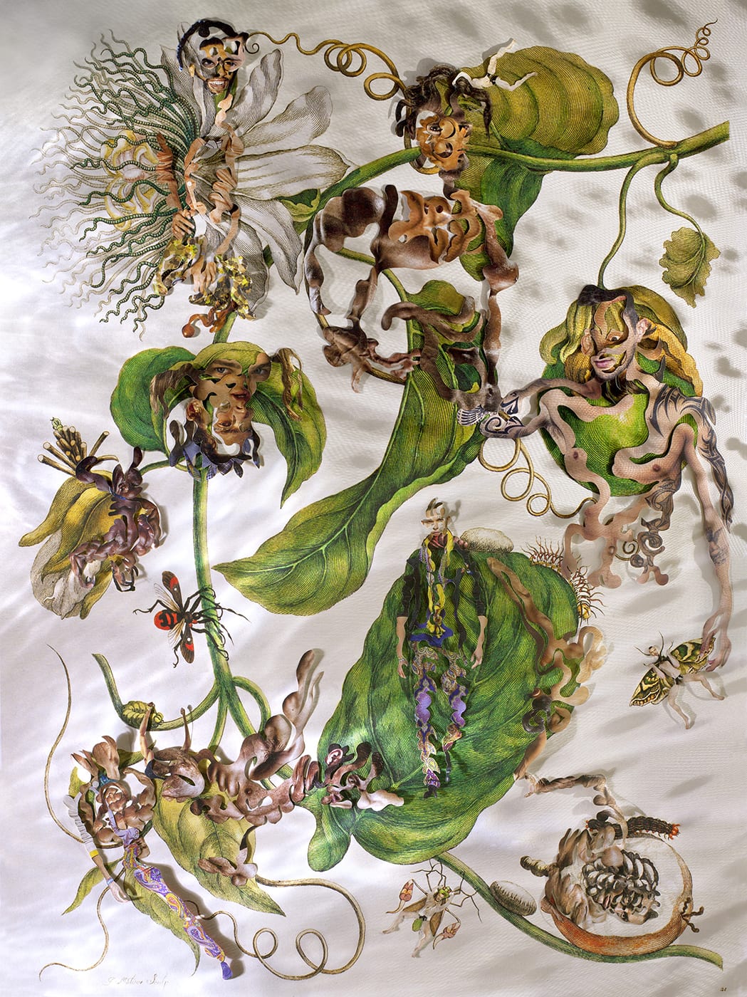 Dominique Paul, Insects of Surinam 22, 2014