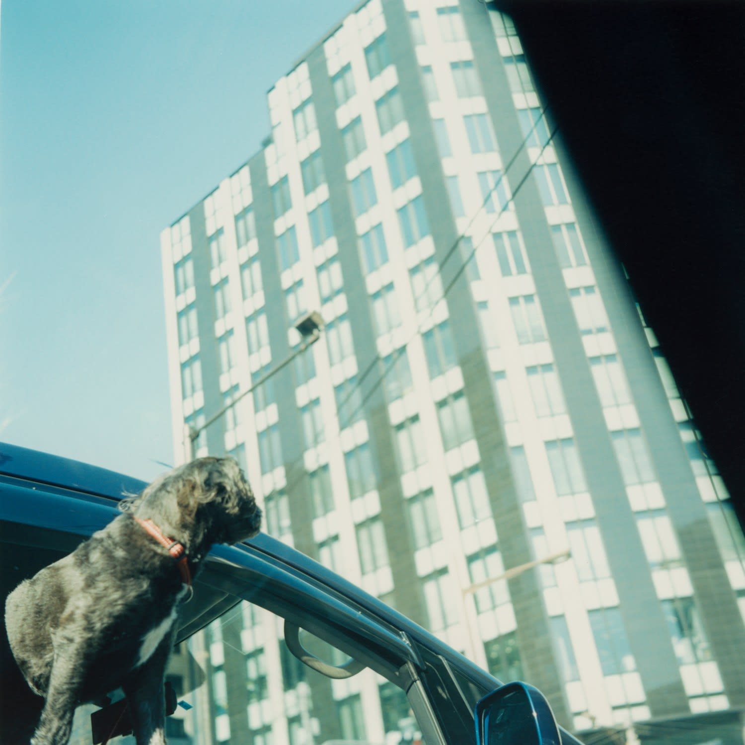 Mikiko Hara, Untitled, 2008
