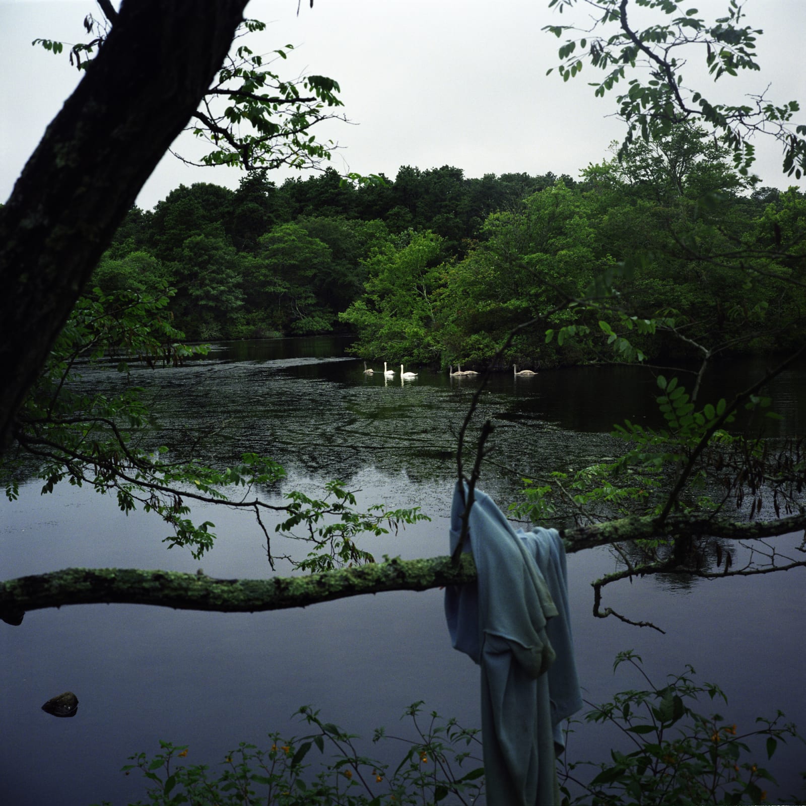 Hai Zhang, Near Provincetown, MA , 2005