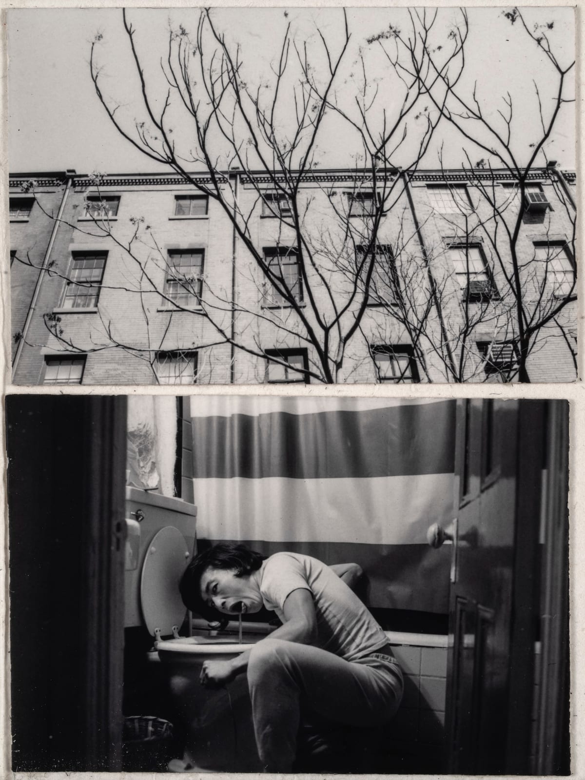 Self Portrait 365 / Diary 1972, 1972