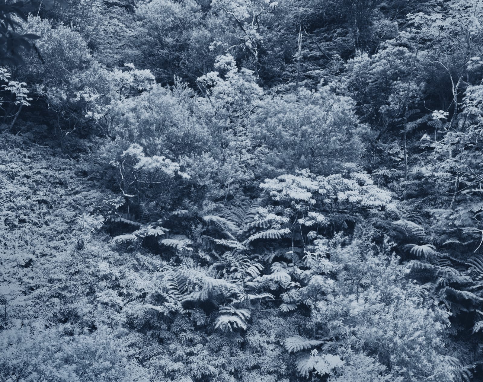 Yojiro Imasaka, Trade Winds 27, 2018