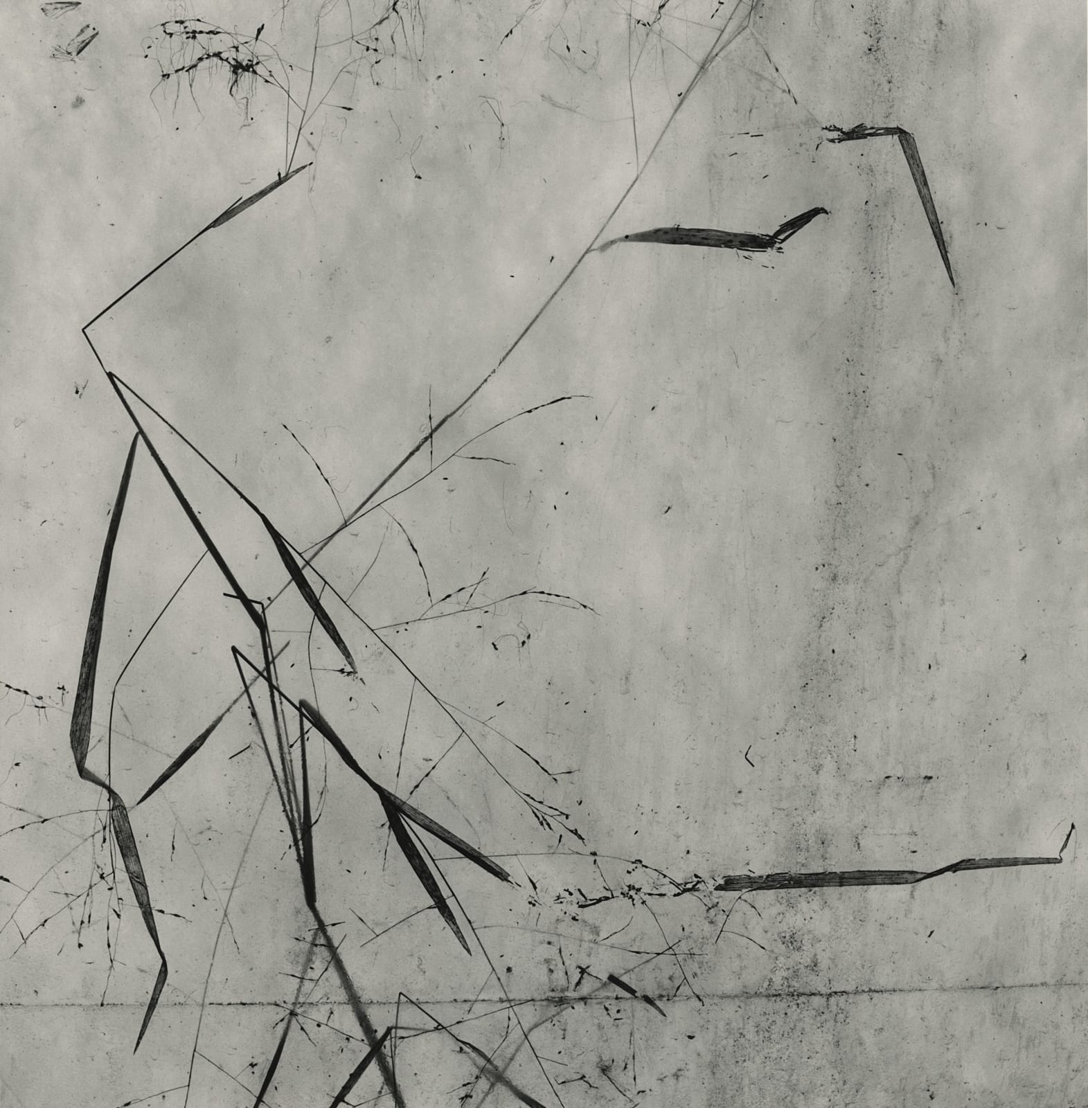 Byung-hun Min, WV021 from the Weed Series, 1996