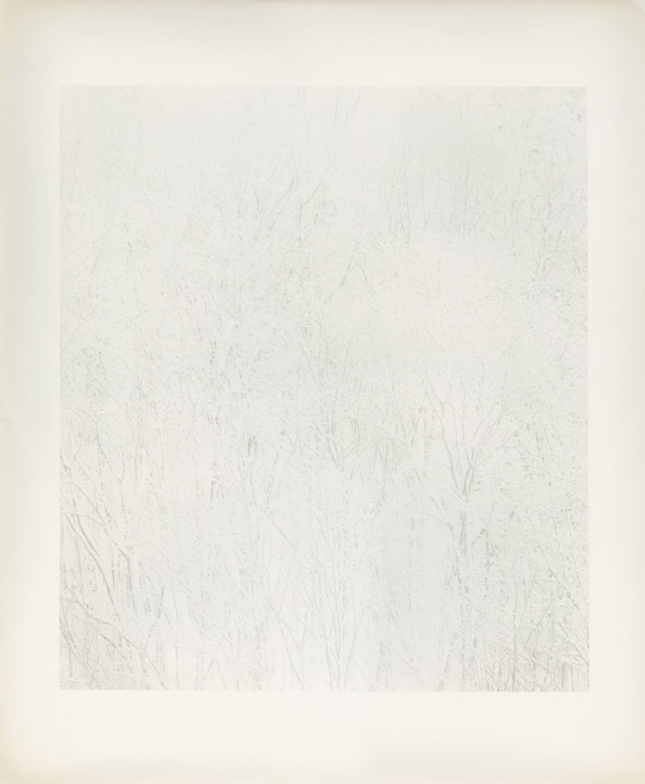 Byung-hun Min, SL133 from the Snow Land Series, 2005