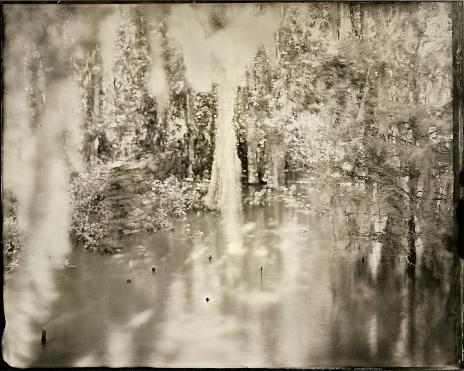 Wet Land 65