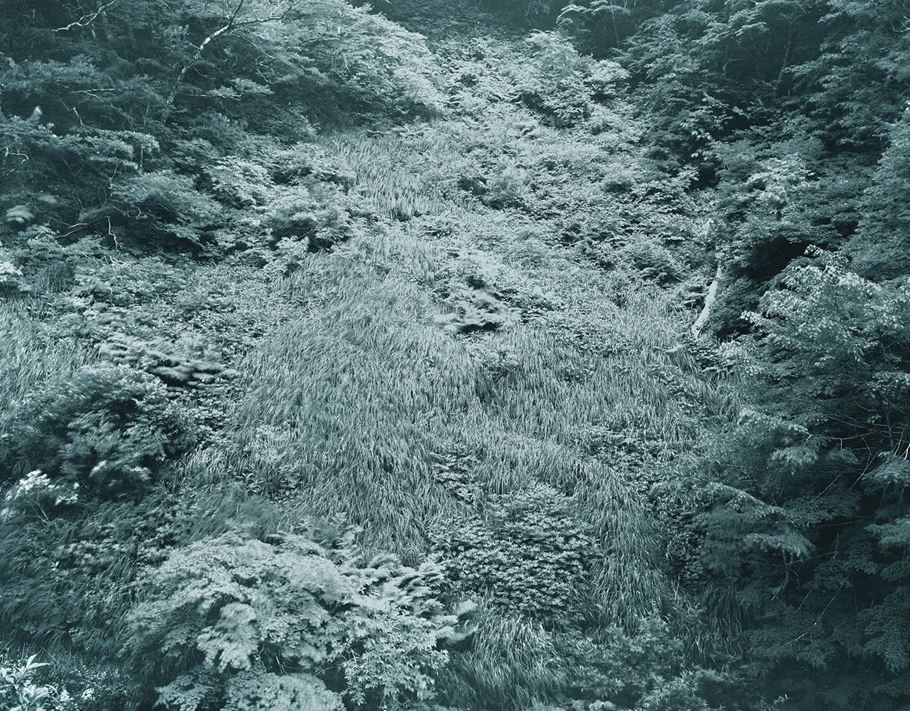 Yojiro Imasaka, Illuminating Earth 143 - C35 June 2, 2020, 2020