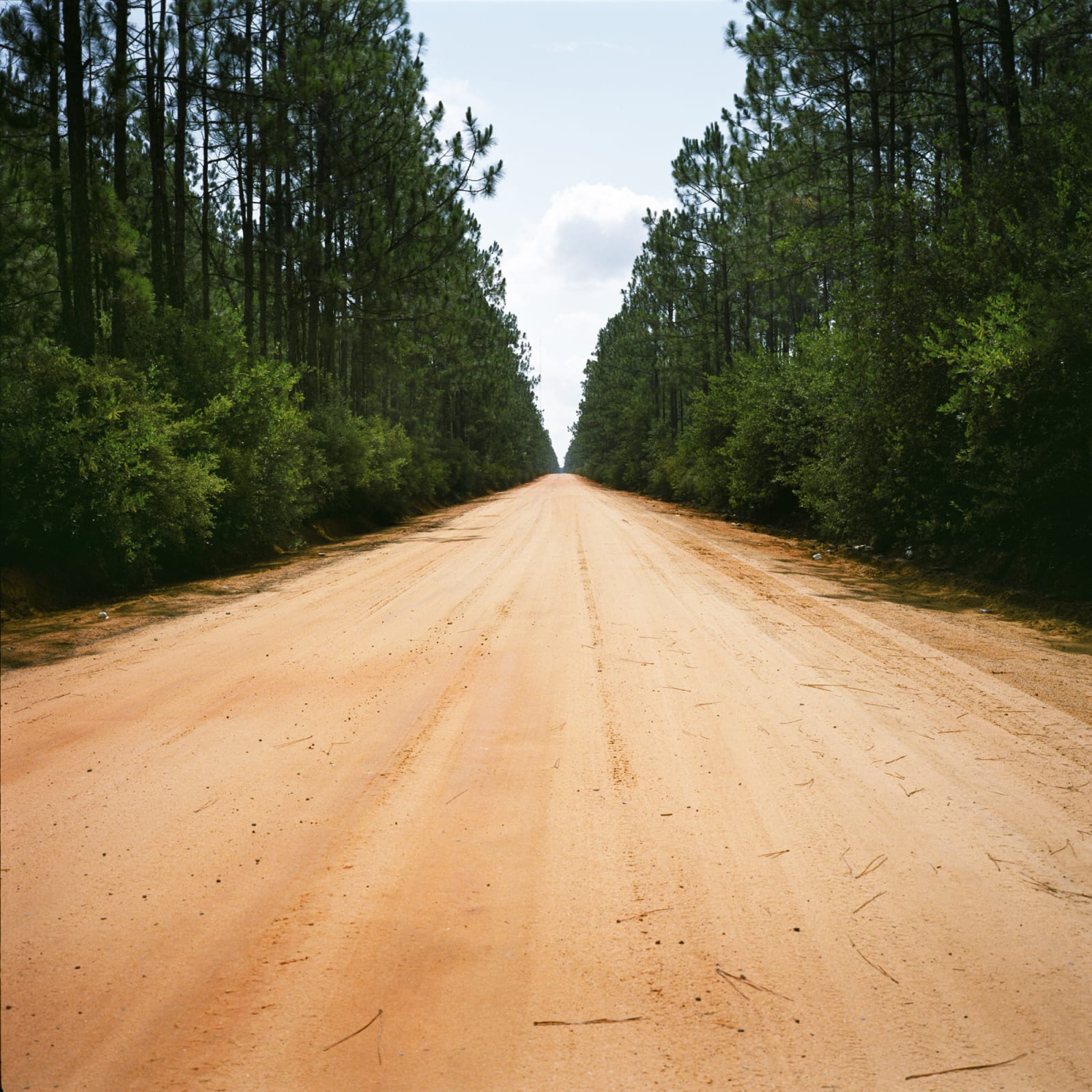 South Alabama