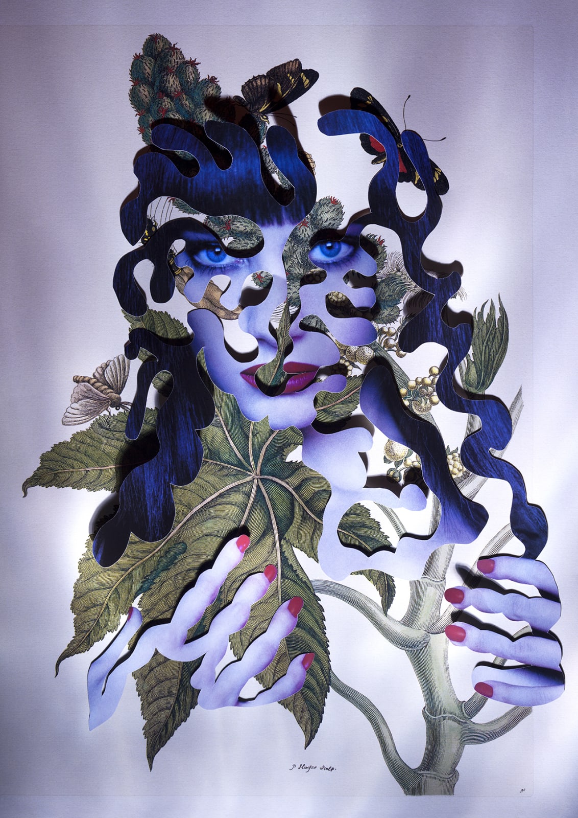 Dominique Paul, Insects of Surinam 33, 2019