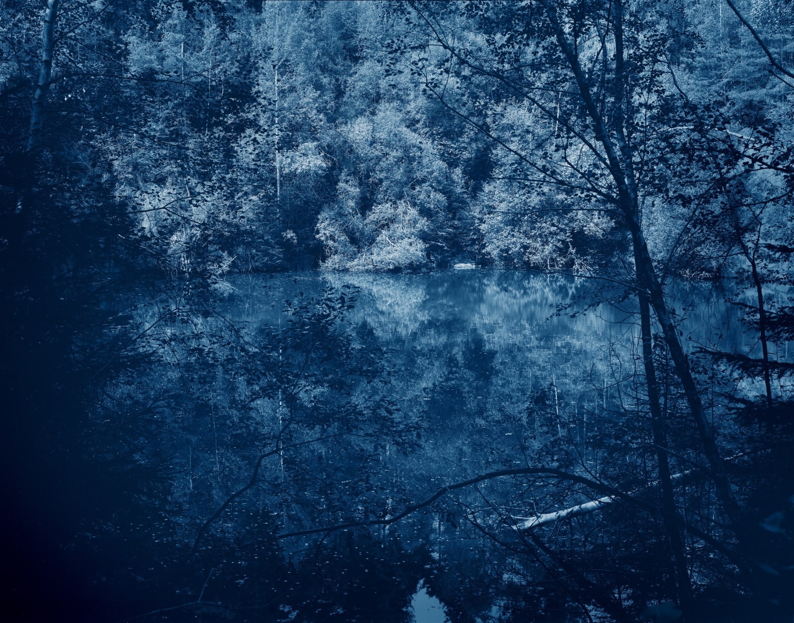 Yojiro Imasaka, Blue Bayou 38, 2016