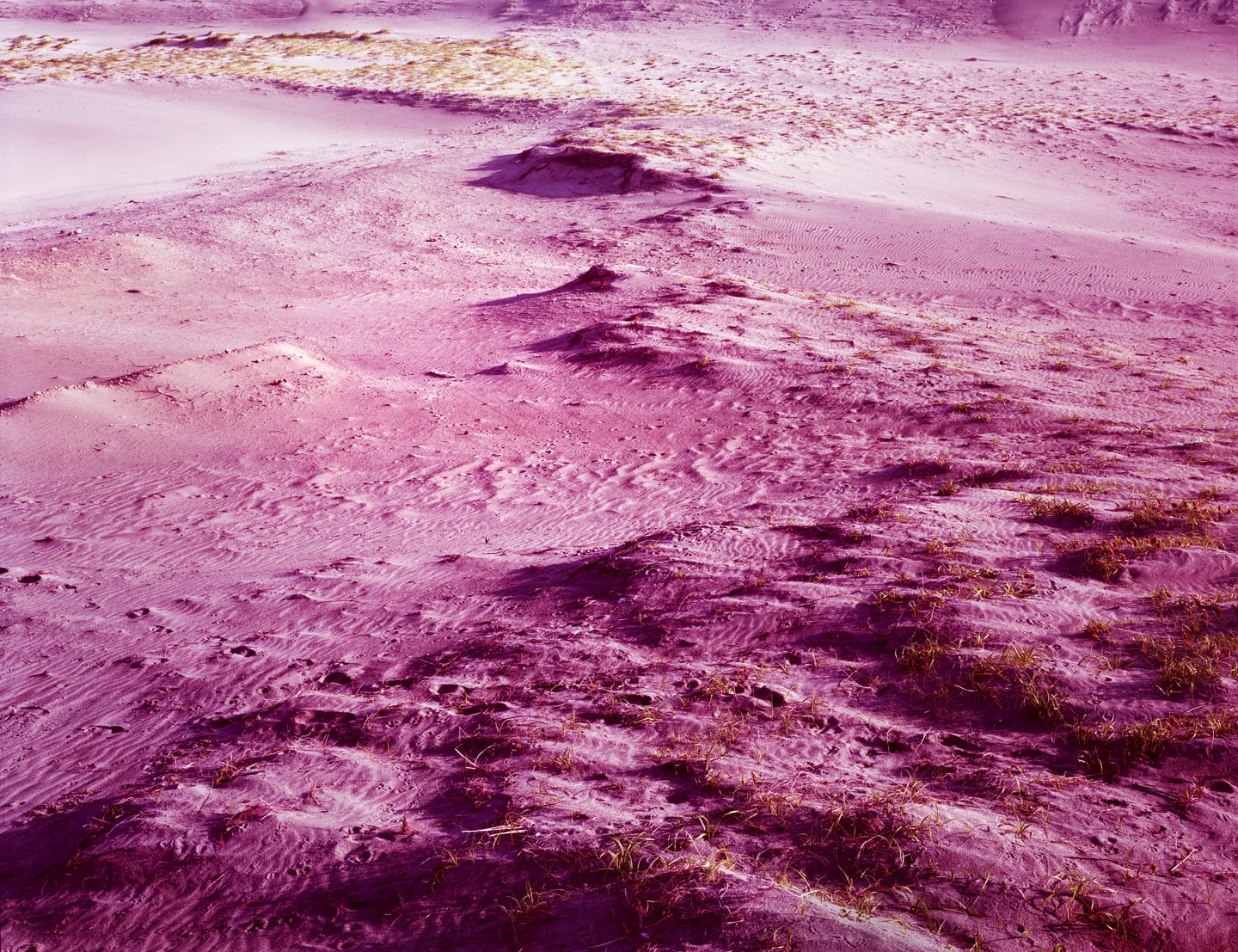 Yojiro Imasaka, Illuminating Earth 27, 2019