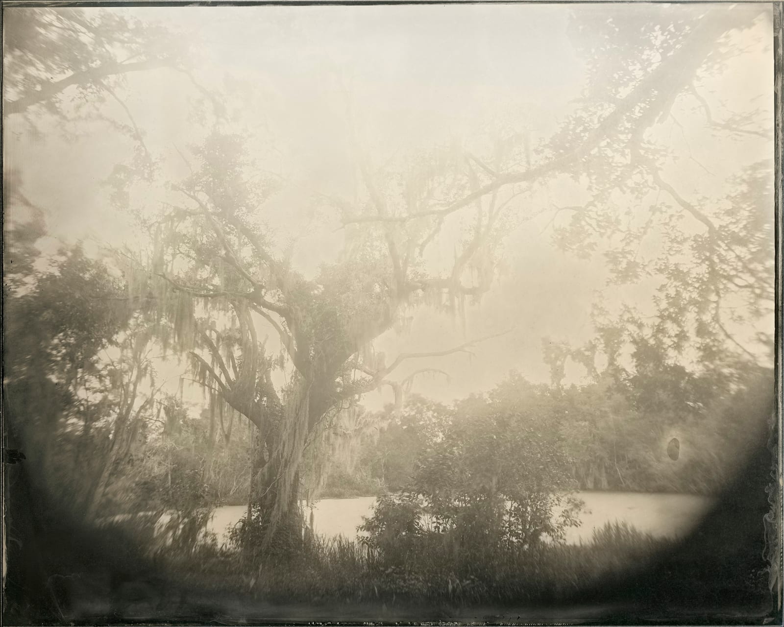 Yojiro Imasaka, Wet Land 55, 2021