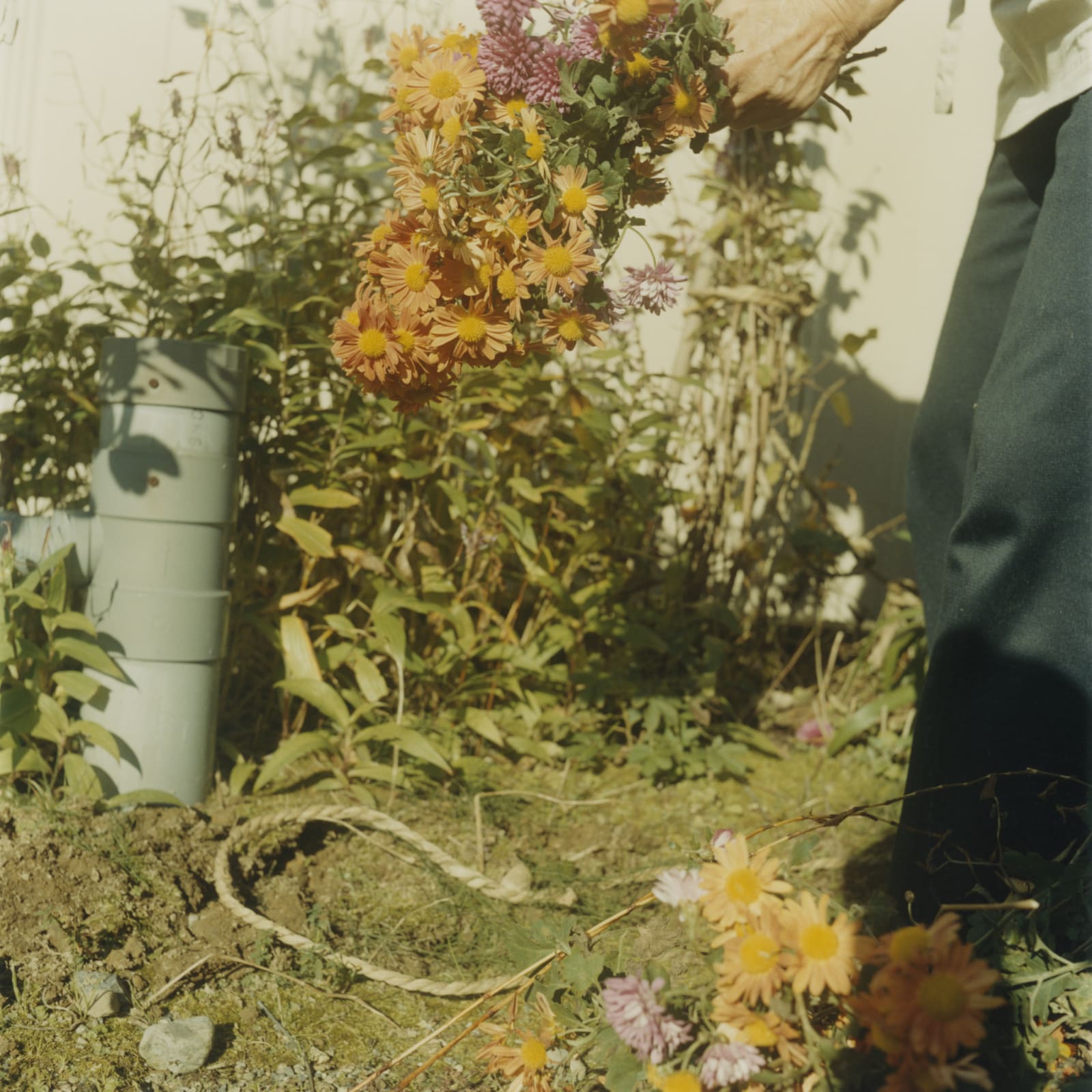Mikiko Hara, Untitled, 2006