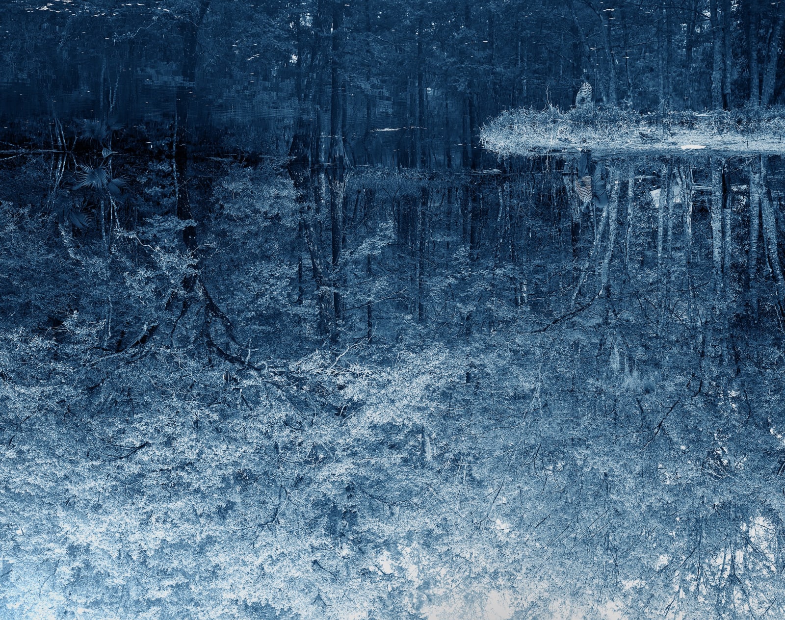 Yojiro Imasaka, Blue Bayou 26, 2016