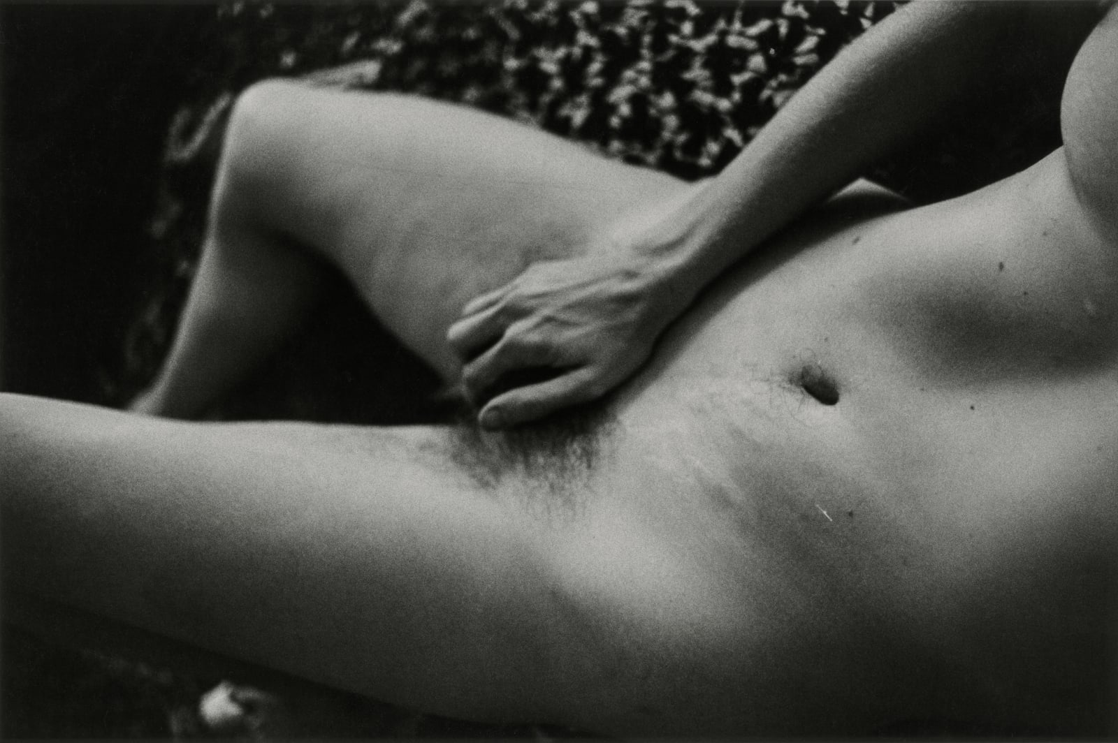 Melissa Shook, Untitled, circa 1973