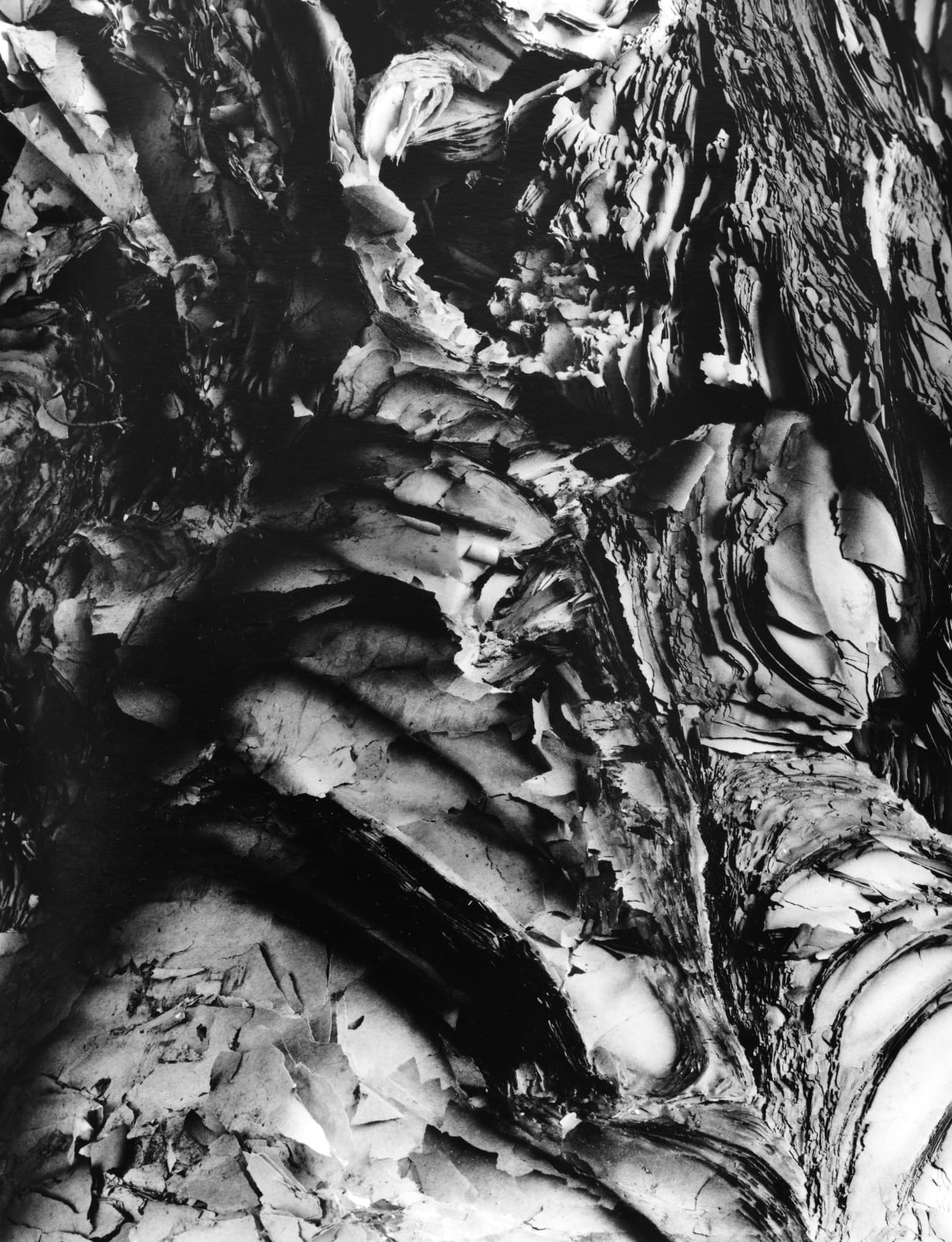 Hitoshi Fugo, KAMI 29, 2001