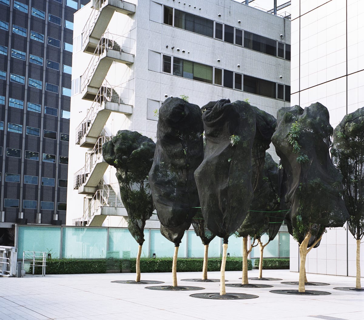 Takahiro Kaneyama, Trees Outside a Department Store My Family Used to Frequent, Tokyo 1999, 2016