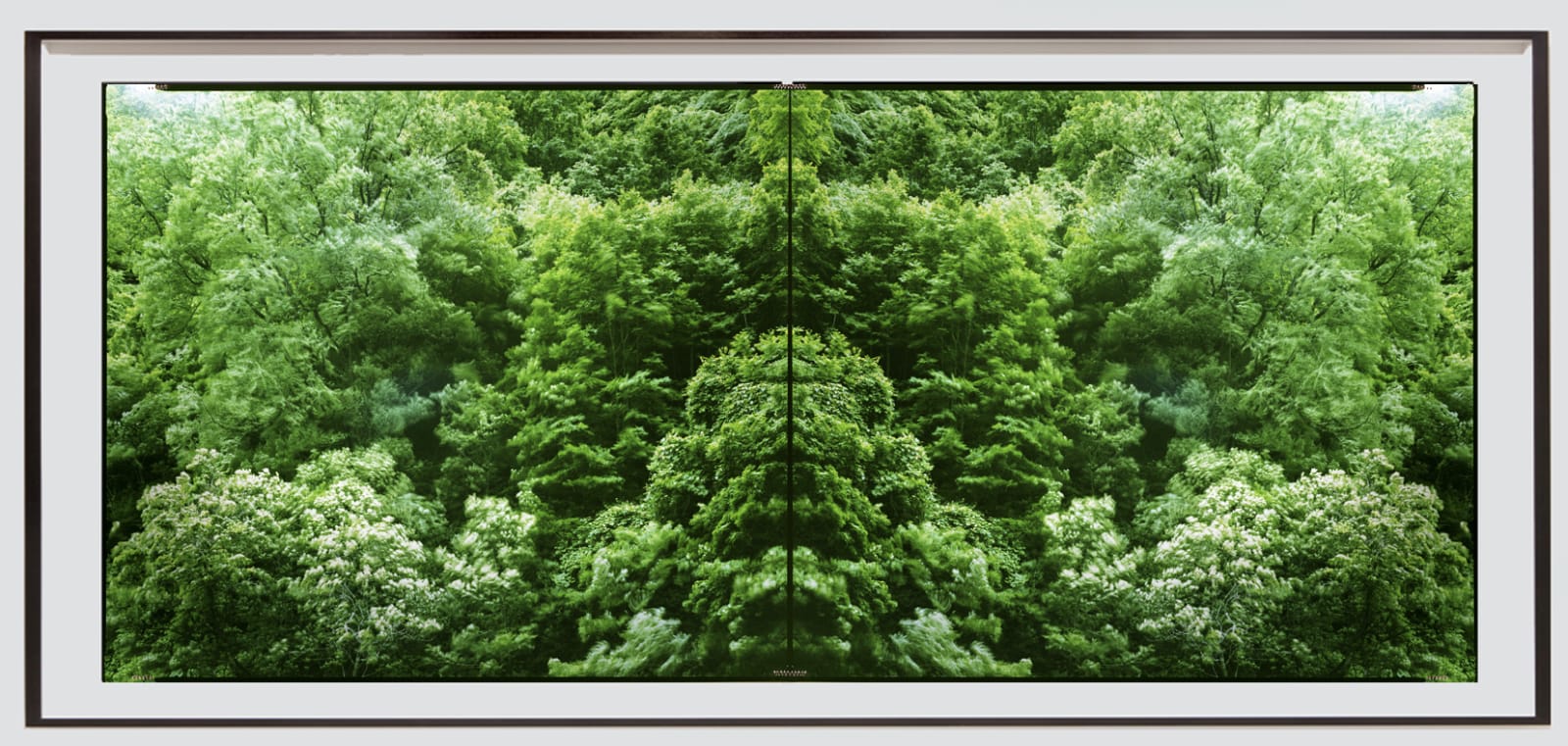 Yojiro Imasaka, Illuminating Earth 127, 2019