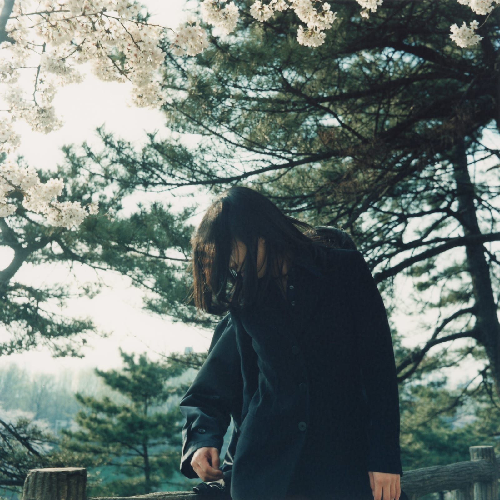 Mikiko Hara, Untitled, 1998